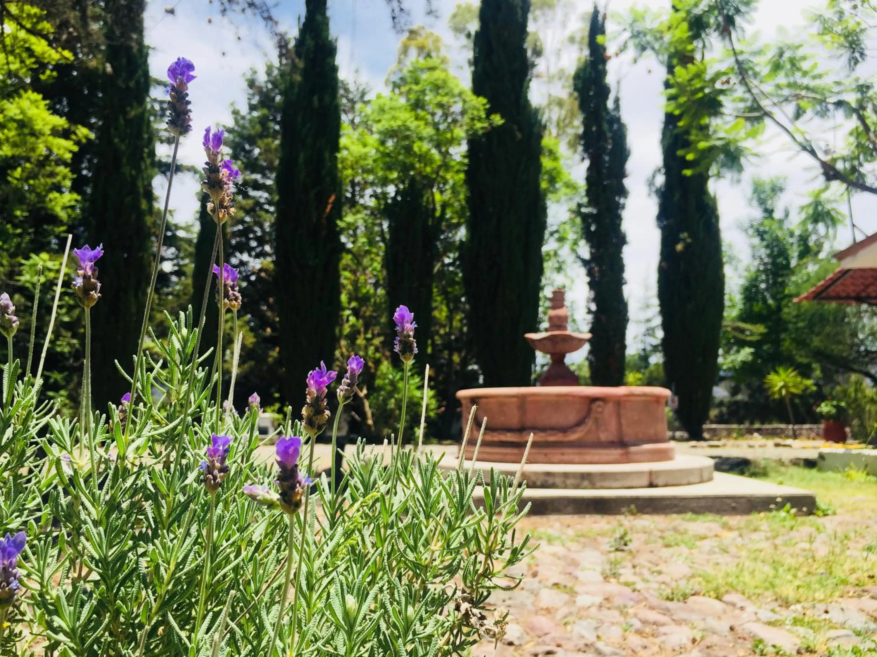 Garden in Hotel RV Park San Ramón