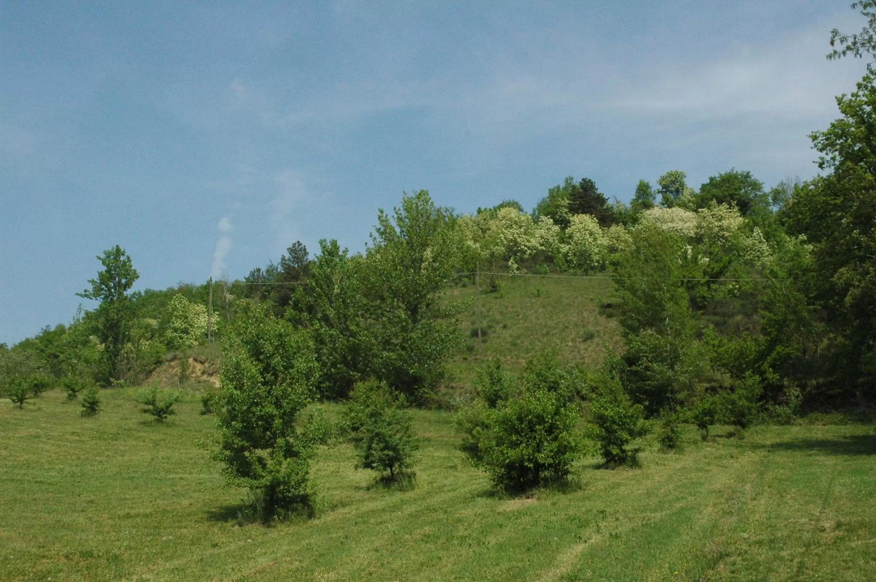 Area and facilities in Agriturismo Rio Verde