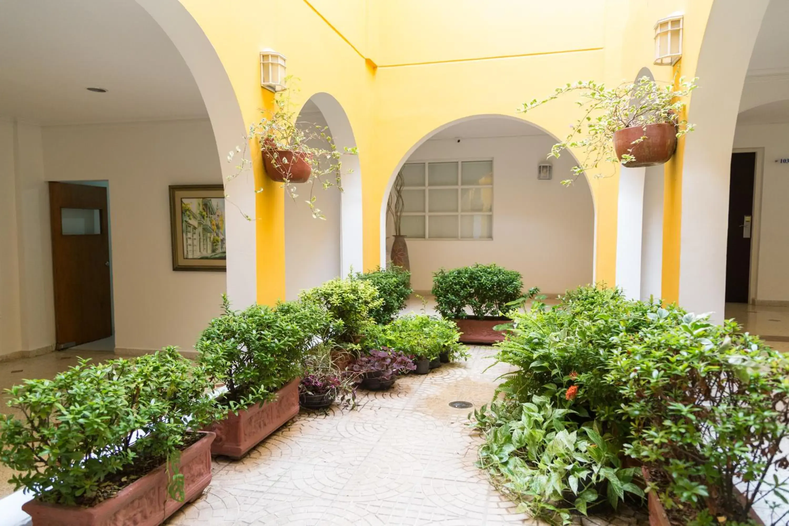 Garden in San Martin Cartagena