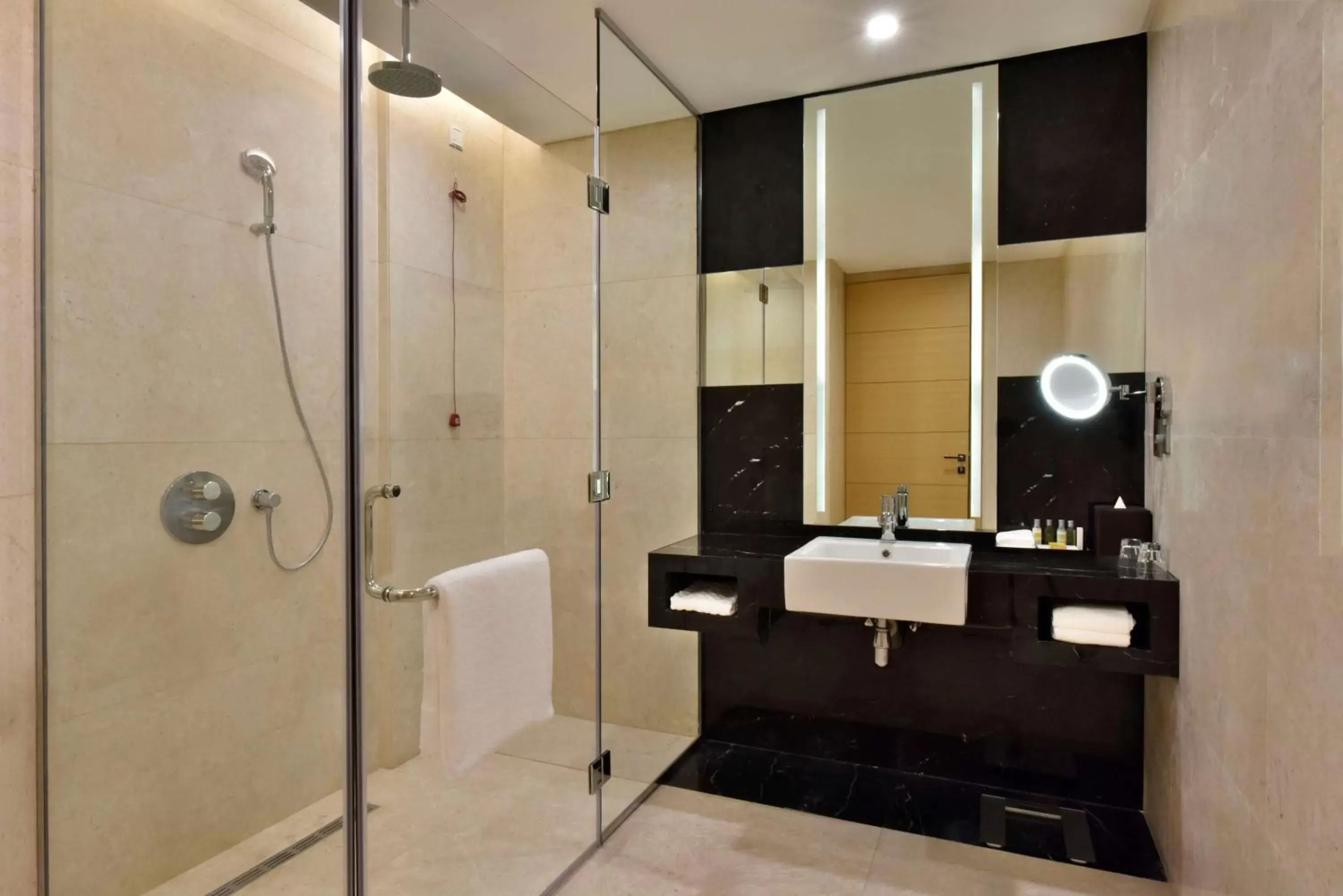 Shower, Bathroom in Hilton Bahrain