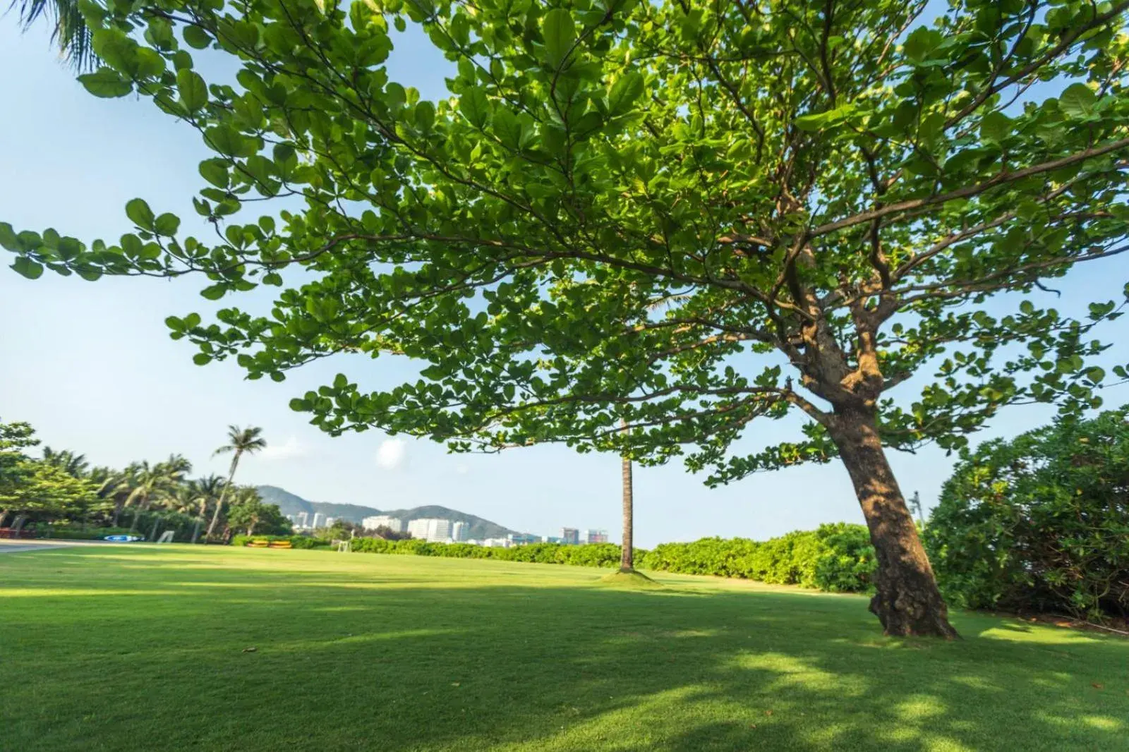 Garden in Banyan Tree Sanya