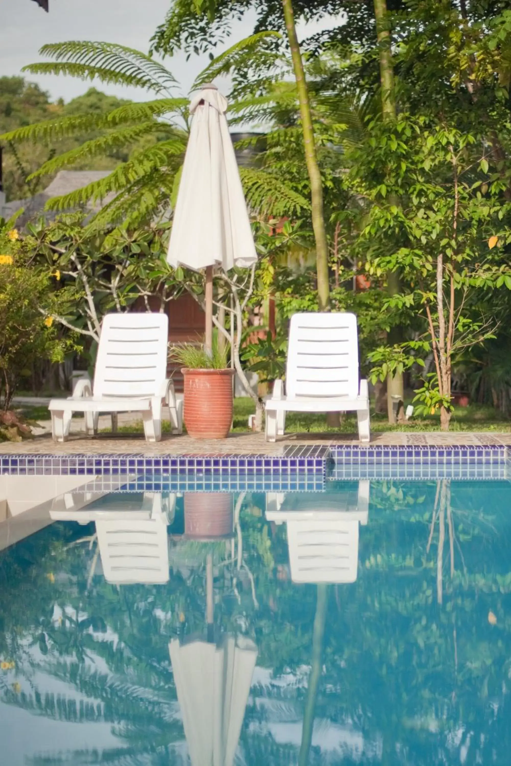 Swimming pool in Villa Molek Swimming pool in Villa Molek