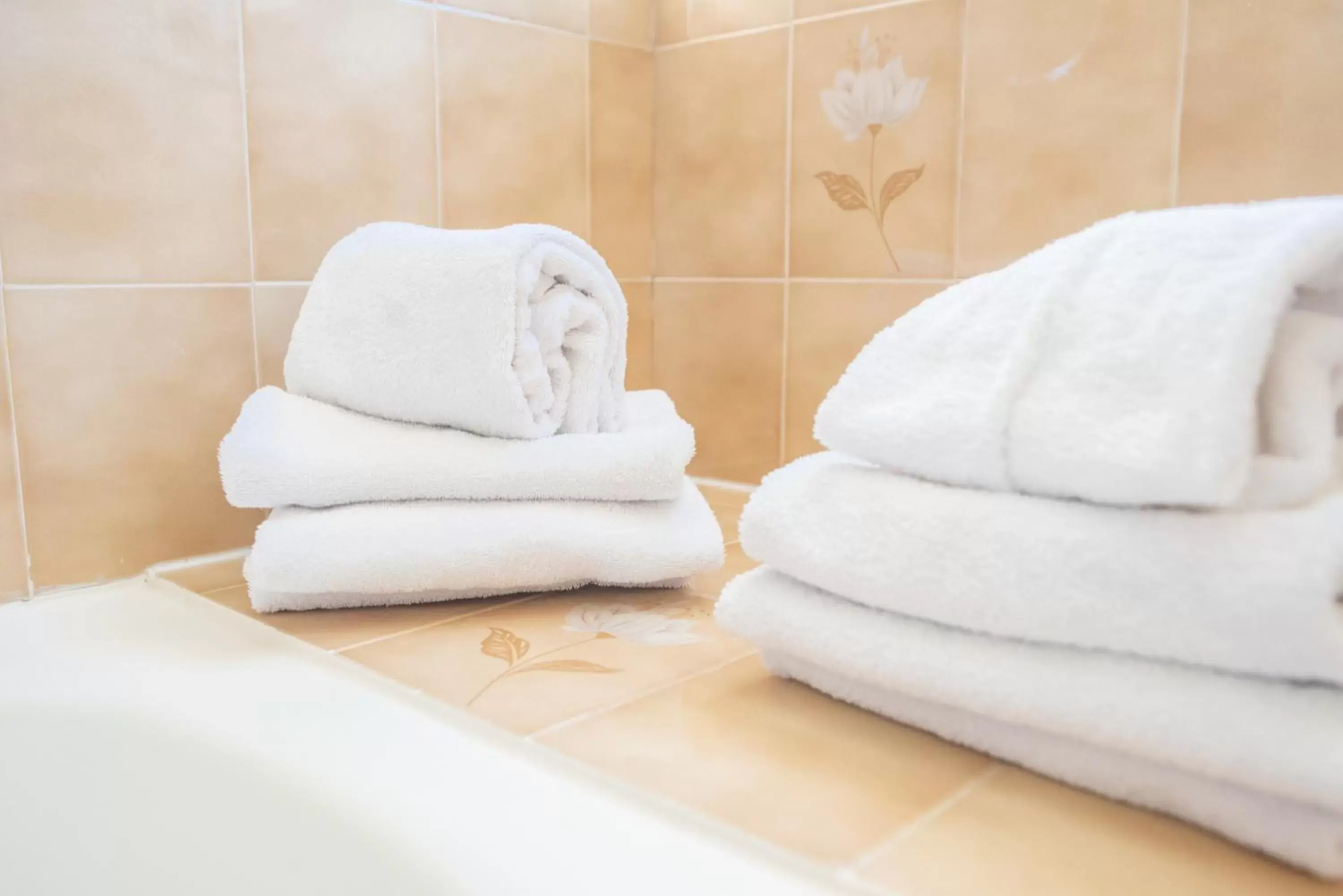 towels, Bathroom in Hotel des Pyrénées