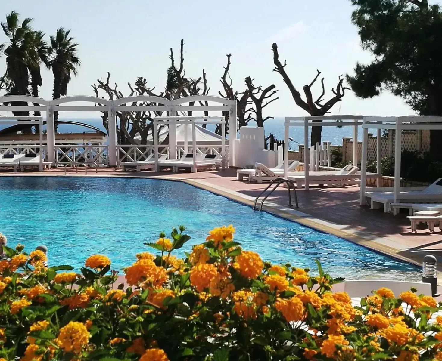 Swimming Pool in Hotel Residence La Corvetta