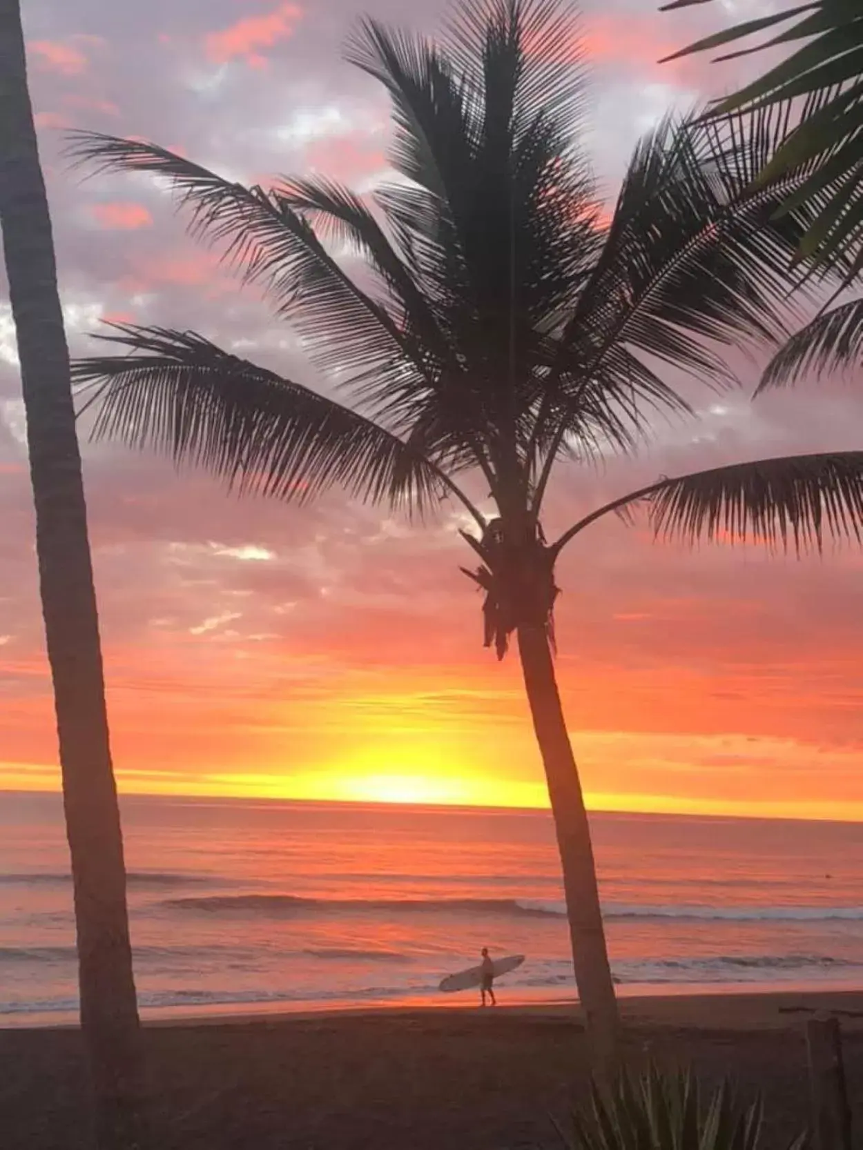 Swimming pool, Sunrise/Sunset in The Backyard Beachfront Hotel