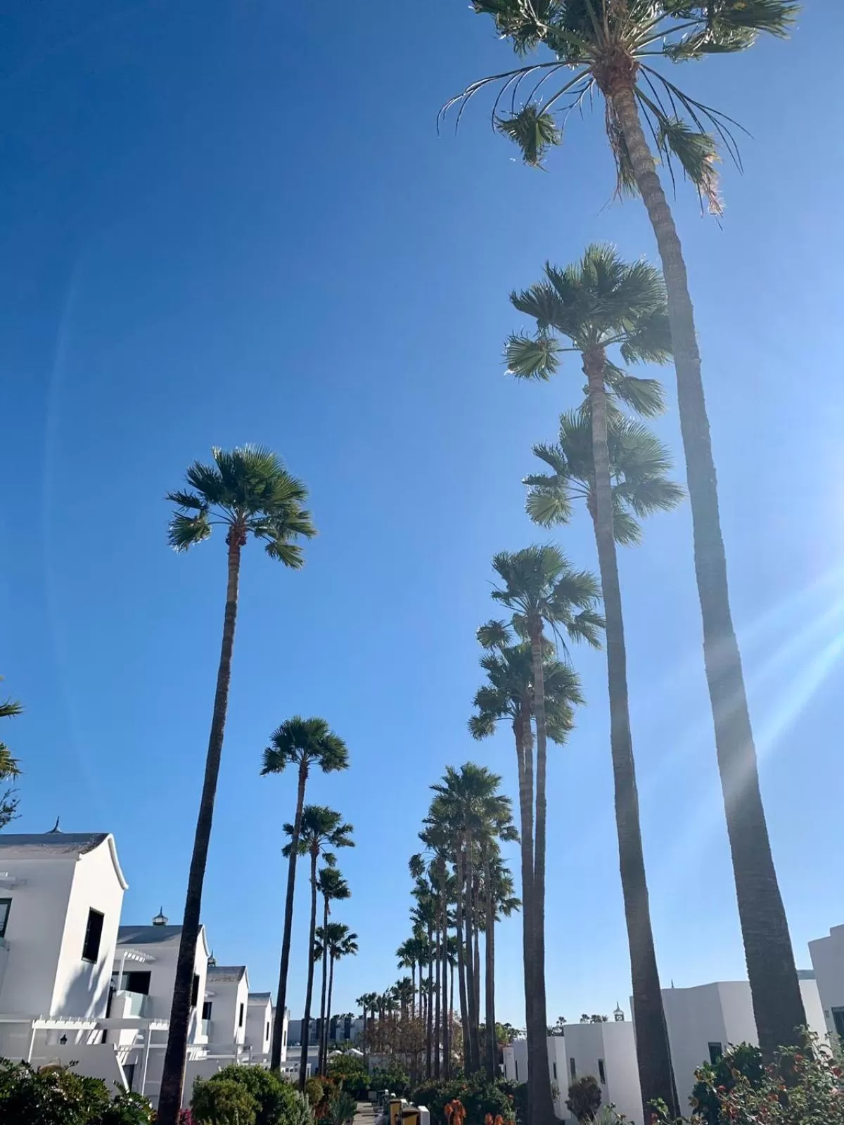 Property building in Hyde Park Lane