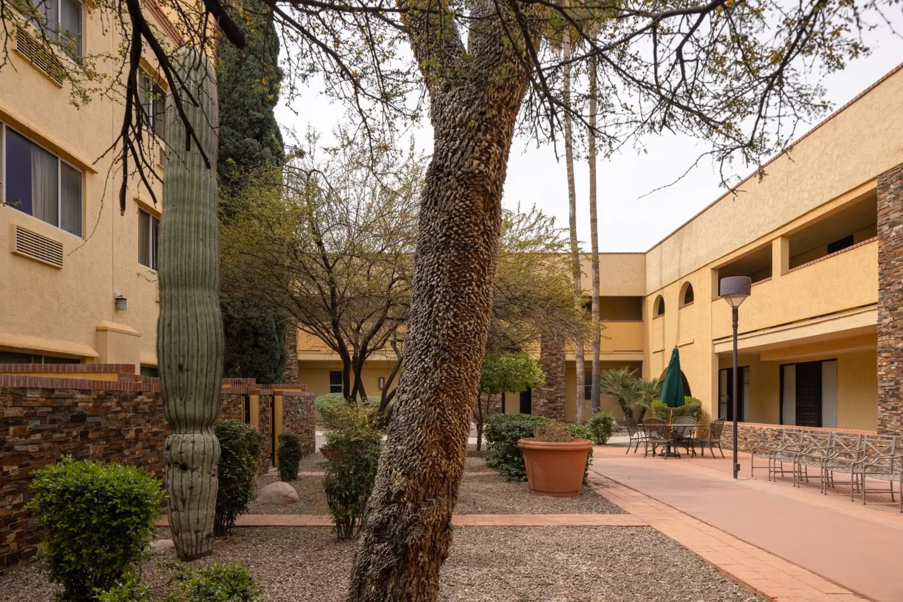 Patio, Property Building in La Quinta by Wyndham Tucson - Reid Park