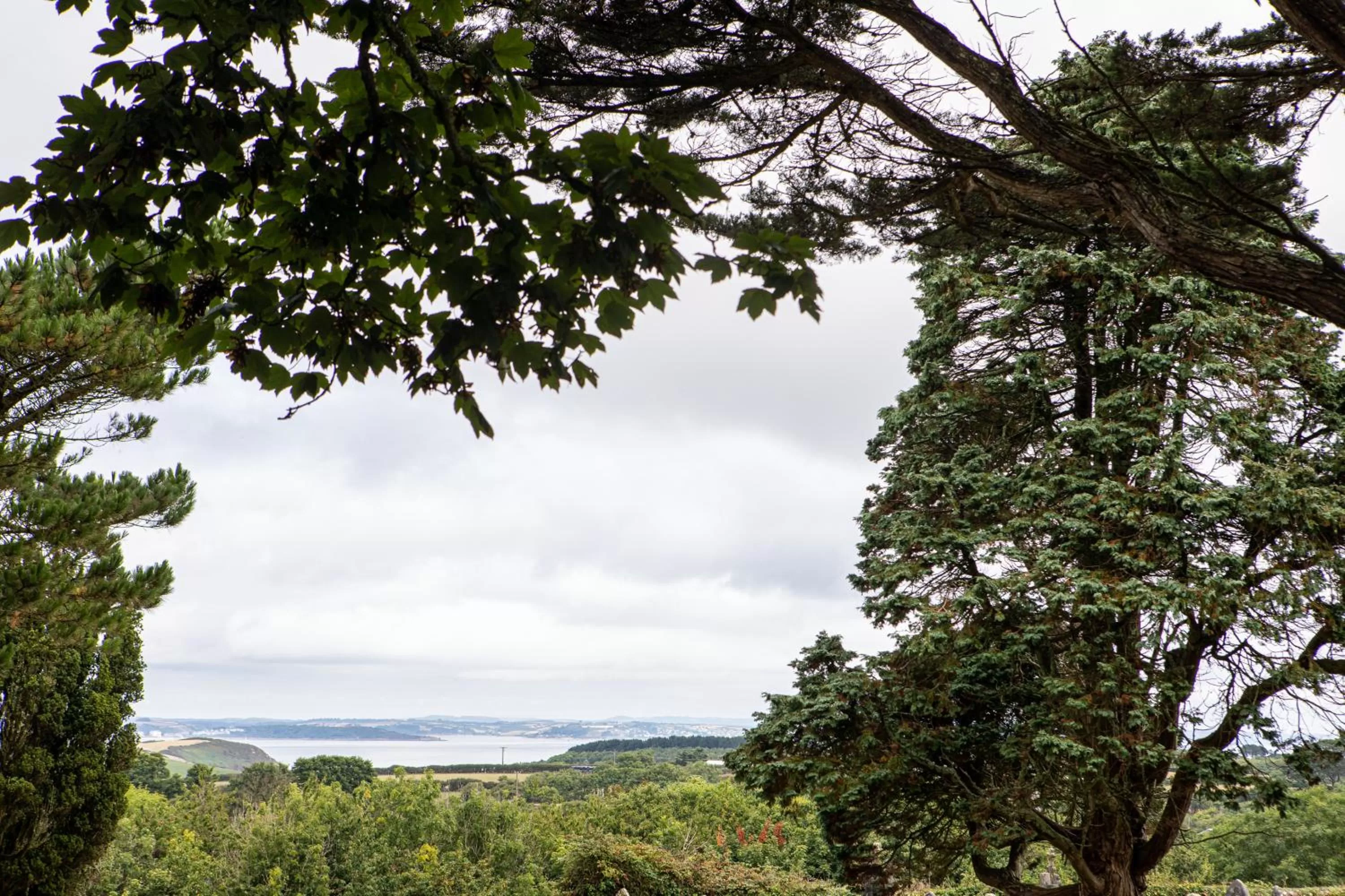 View (from property/room) in The Three Tuns