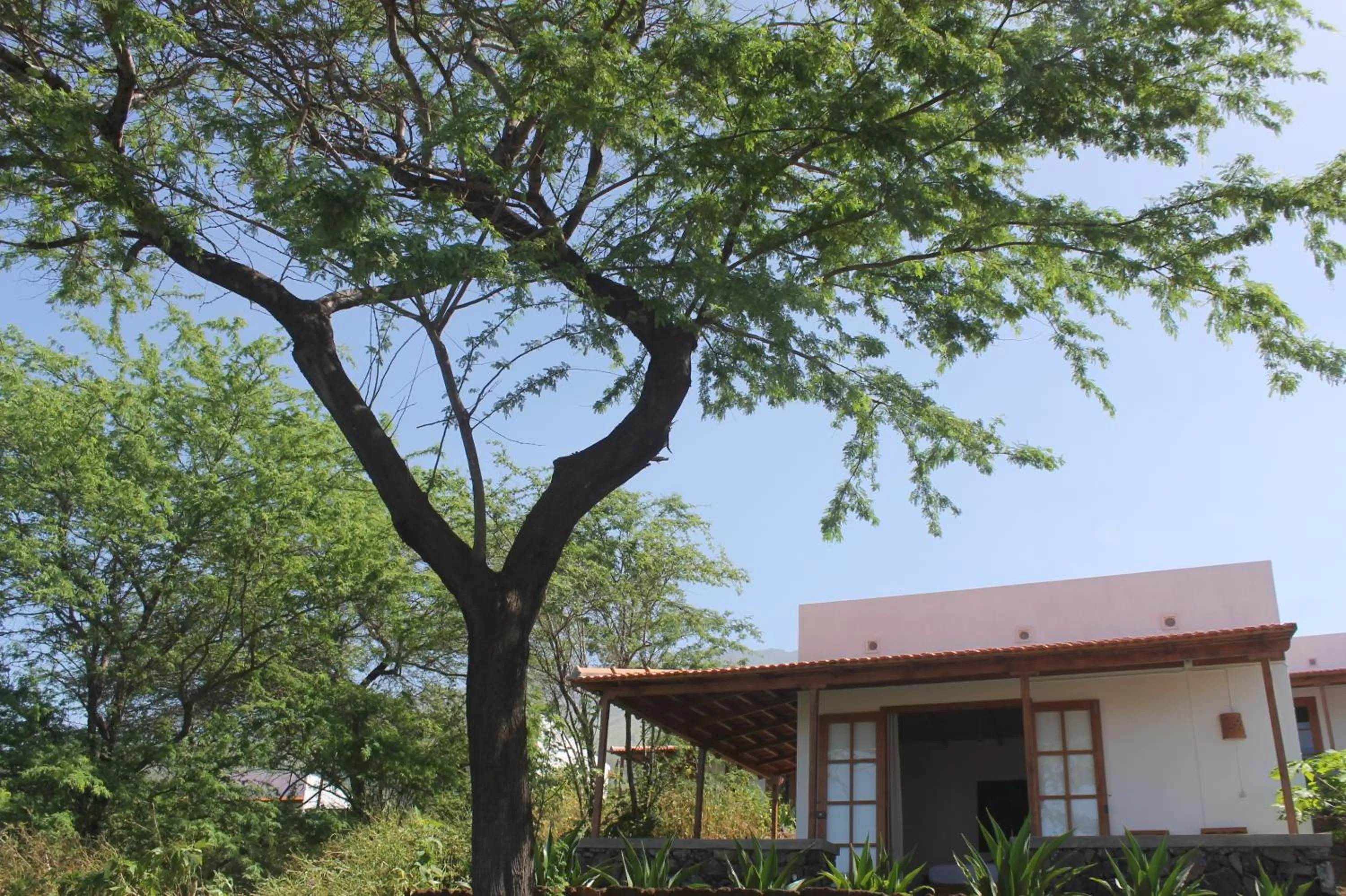 Patio in La Fora Ecolodge