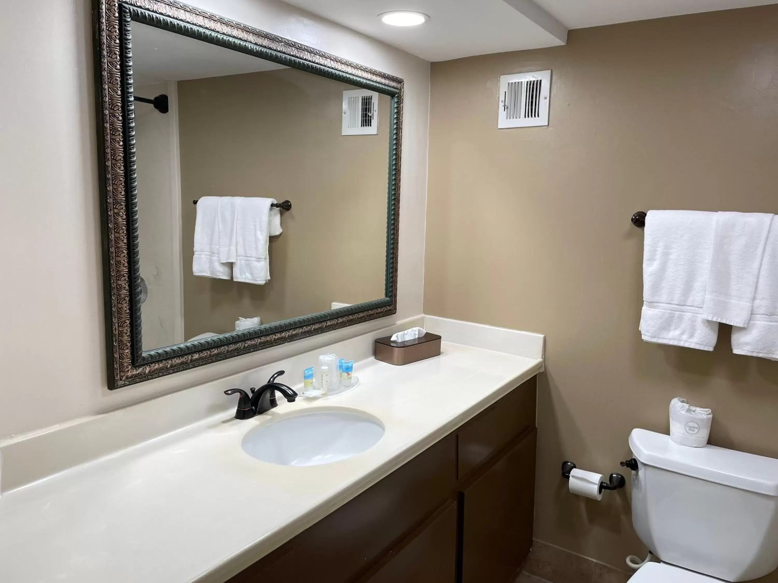 Public Bath, Bathroom in The Paragon of Golden Isles