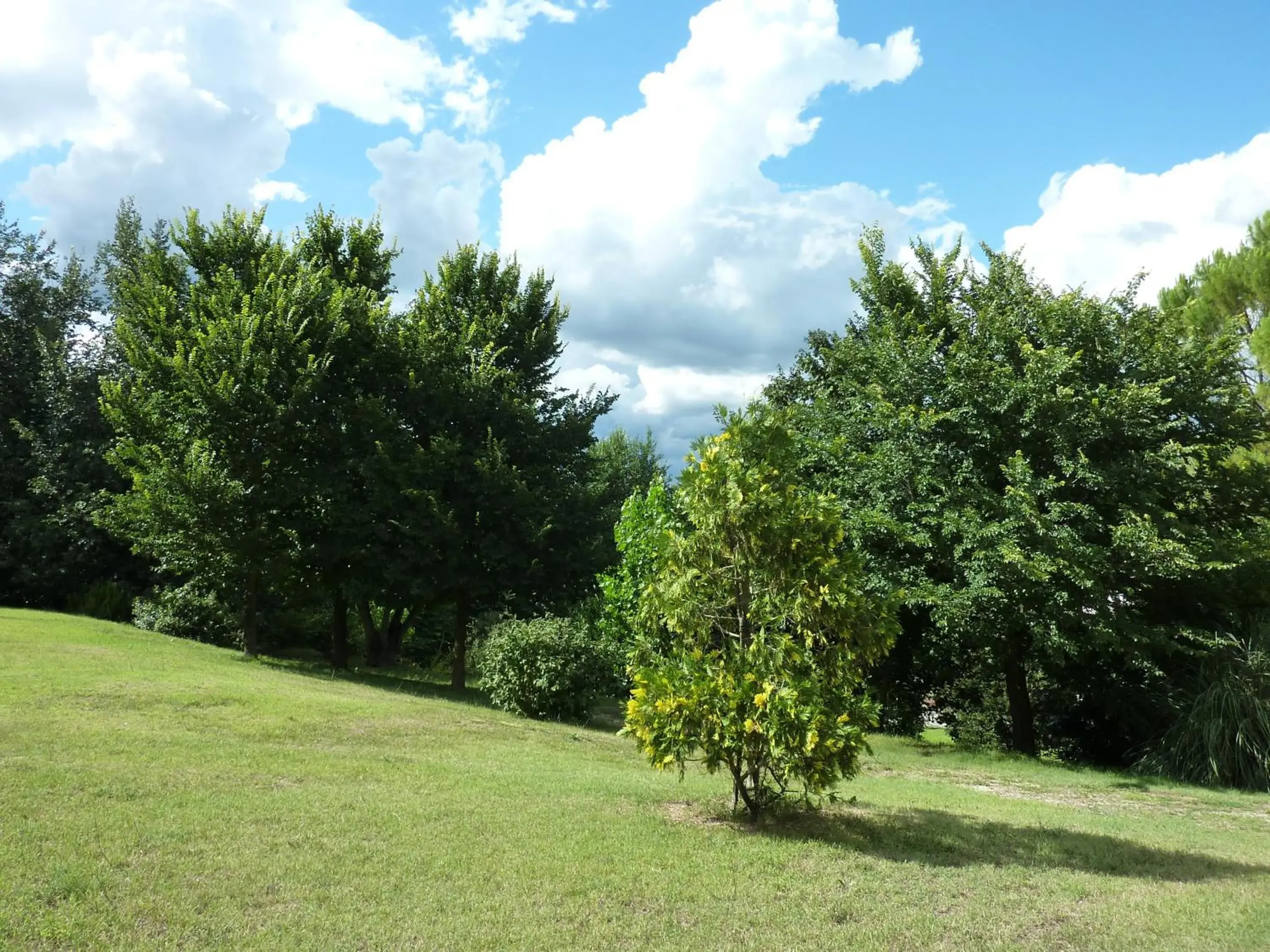 Garden in La Rocca