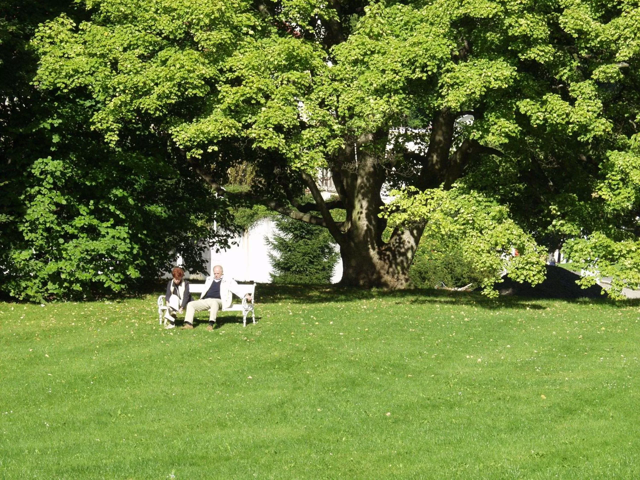 Natural landscape in Apartma La Provence