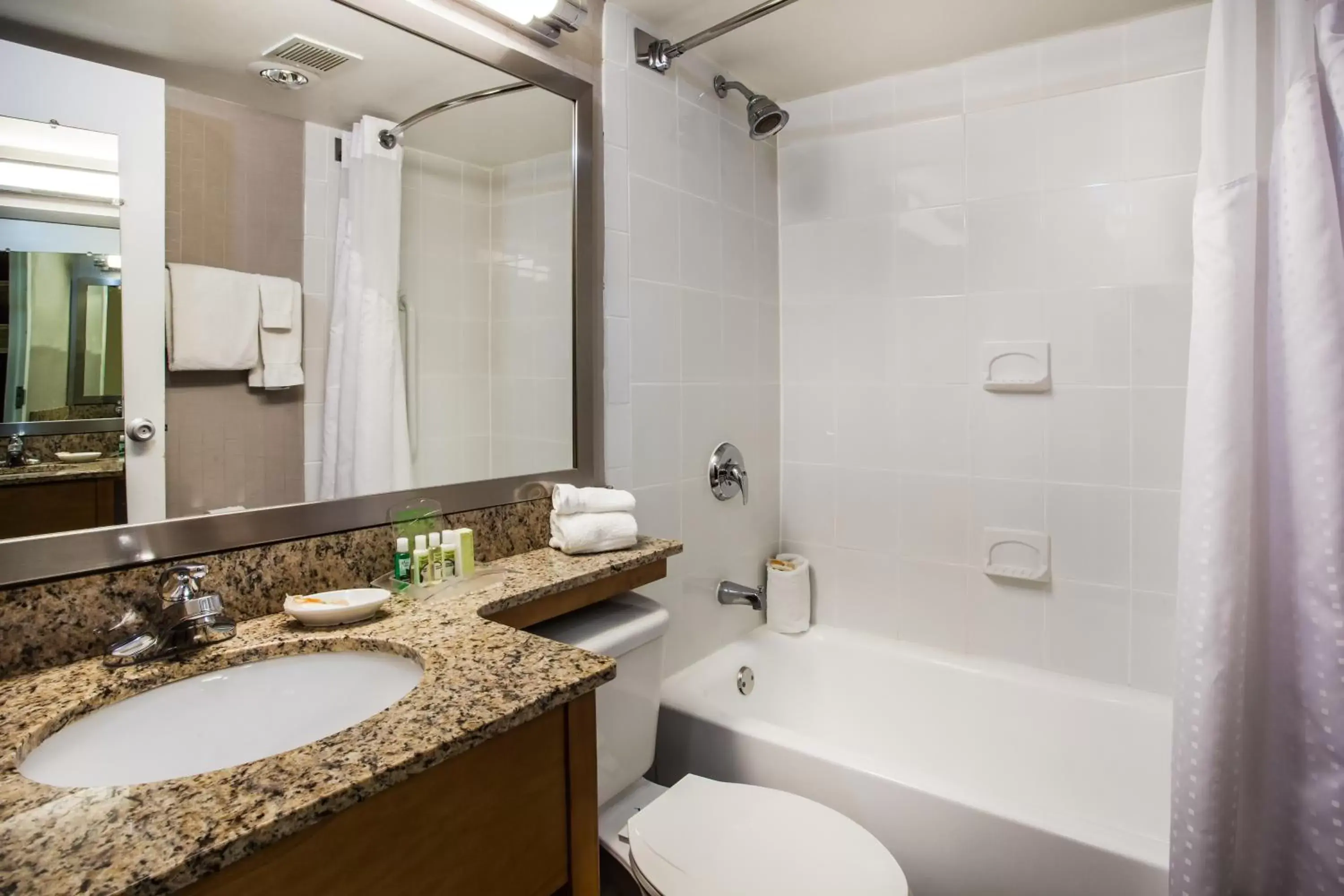 Bathroom in Holiday Inn Saratoga Springs, an IHG Hotel
