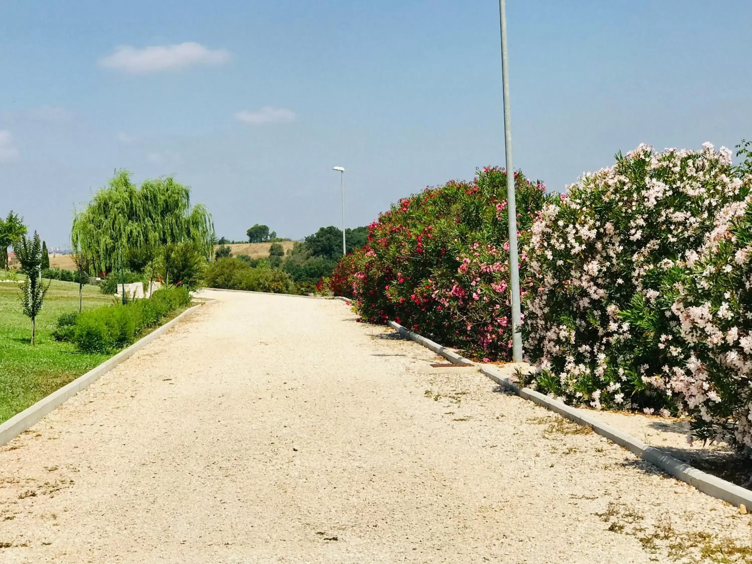 Garden in La collina delle fonti