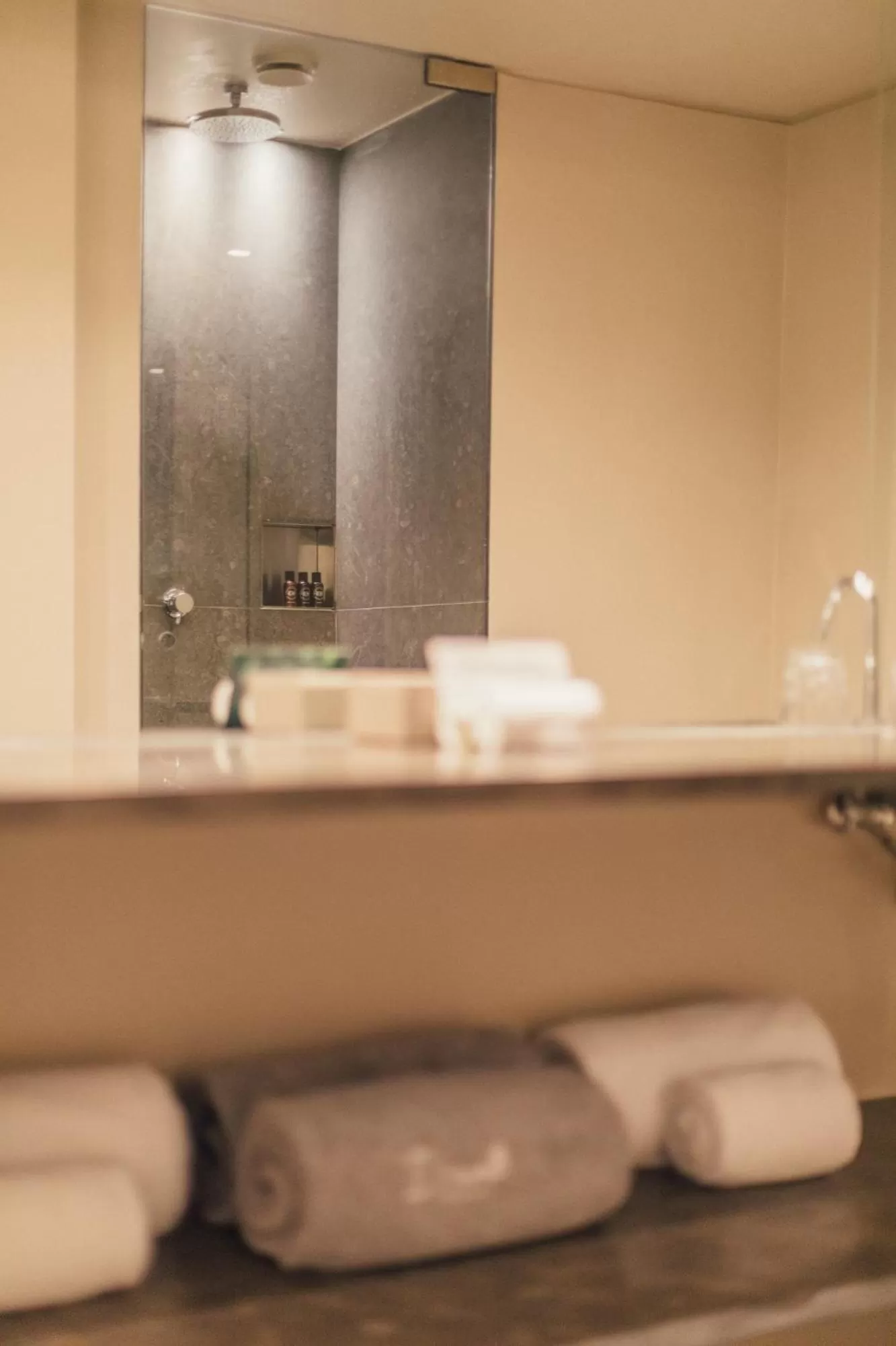 Toilet in Octant Douro