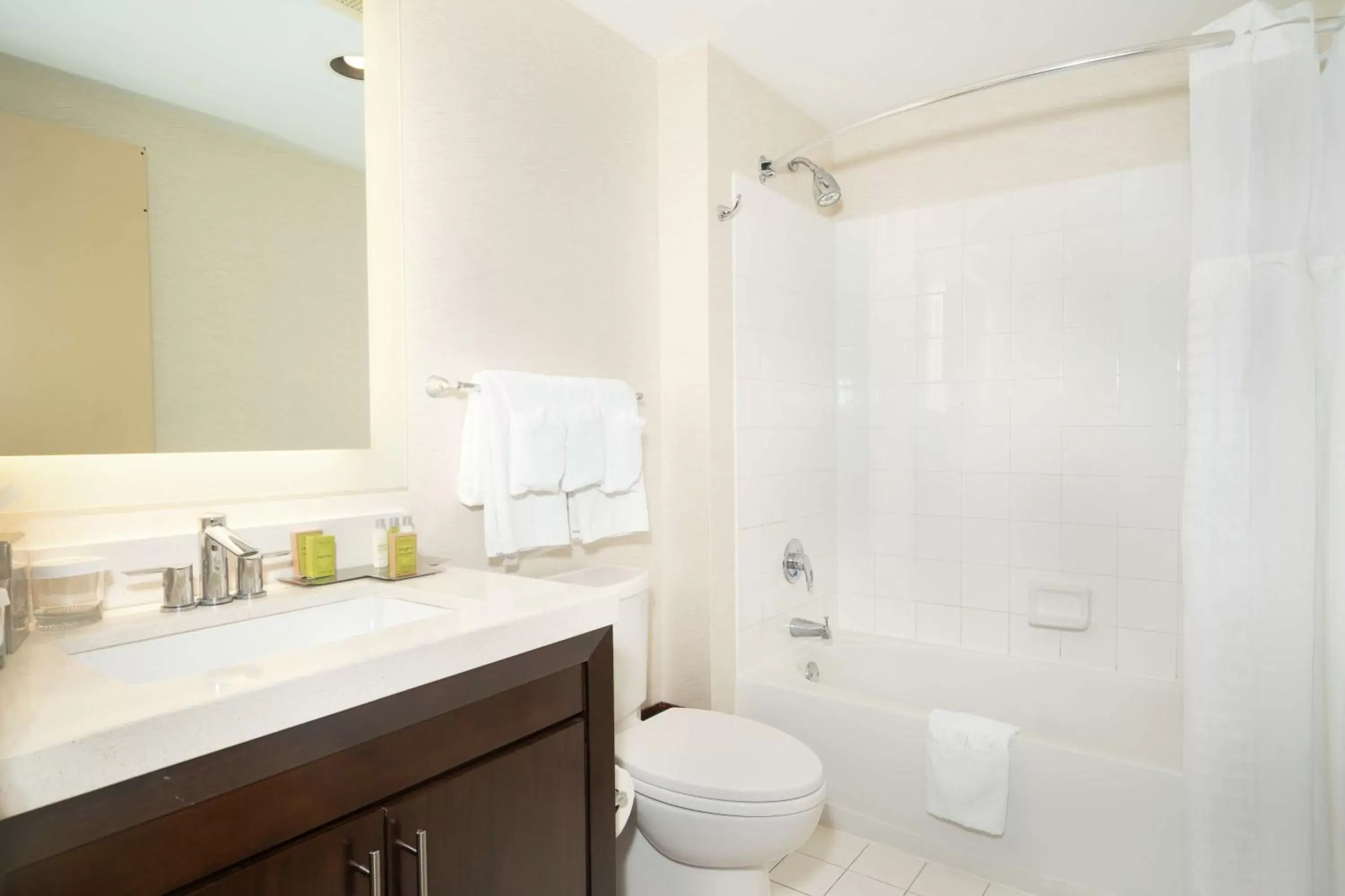 Bathroom in DoubleTree by Hilton Ocean Point Resort - North Miami Beach