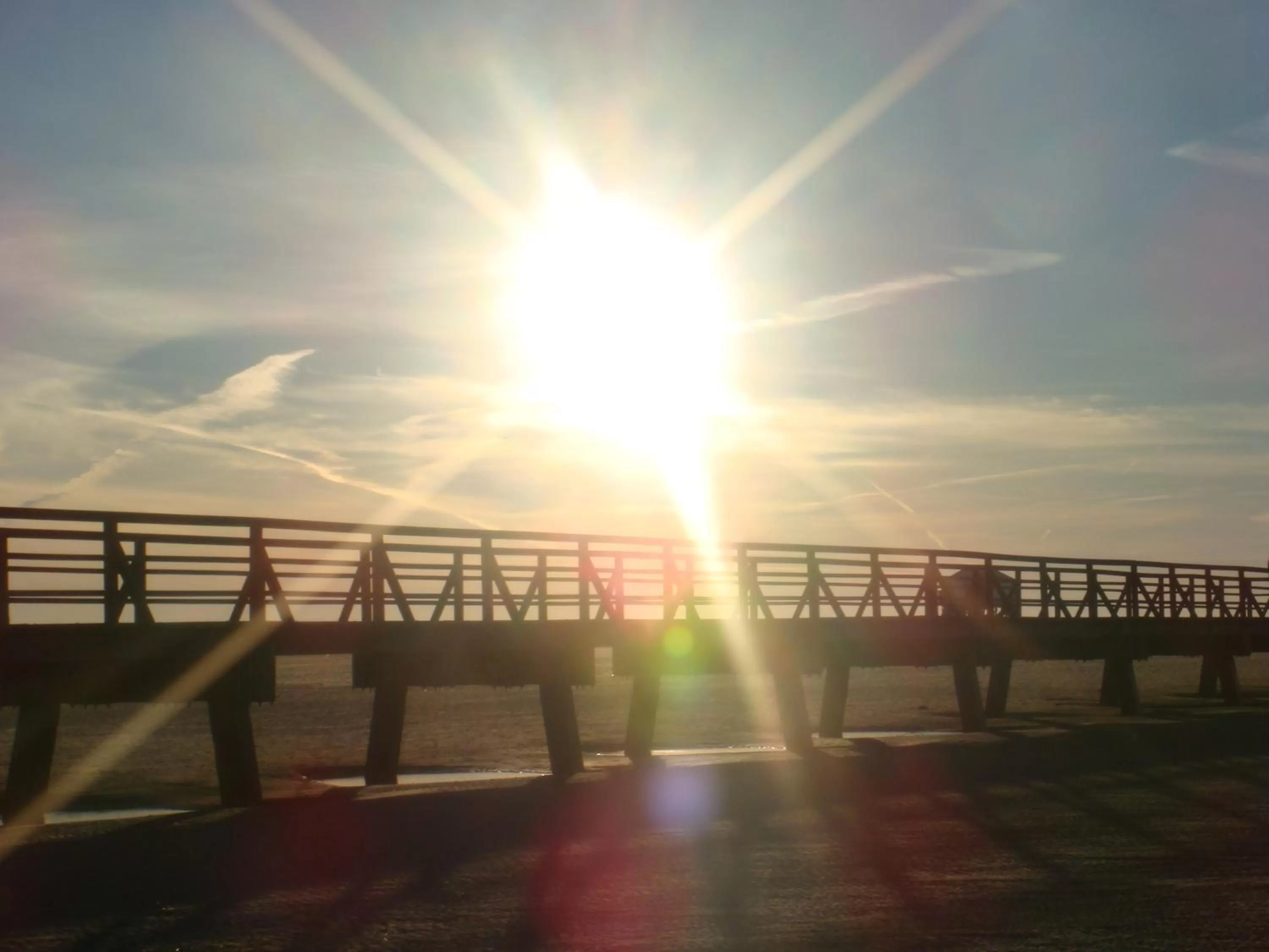 Area and facilities in Hotel Twilling