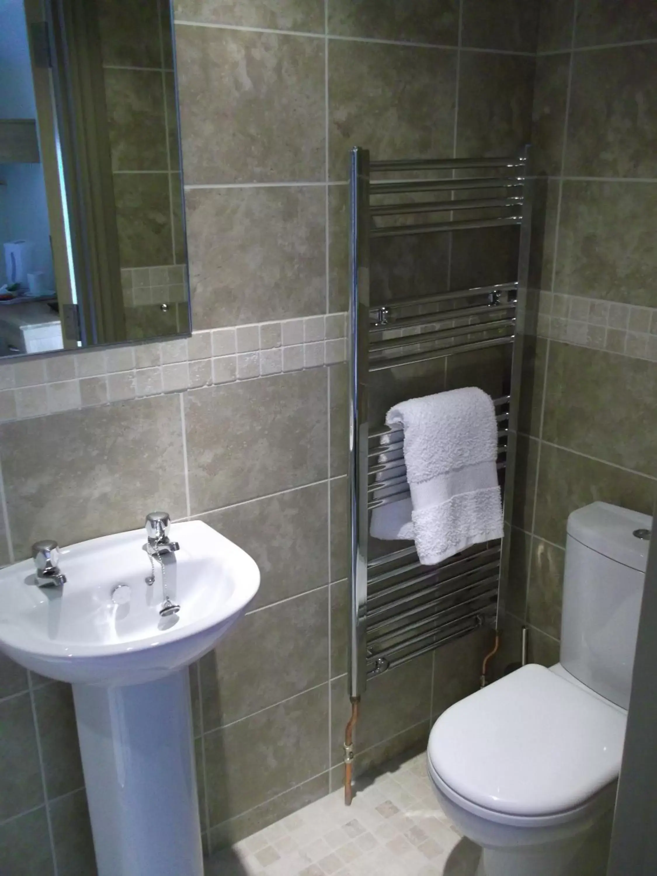 Shower, Bathroom in The Elm Tree Inn
