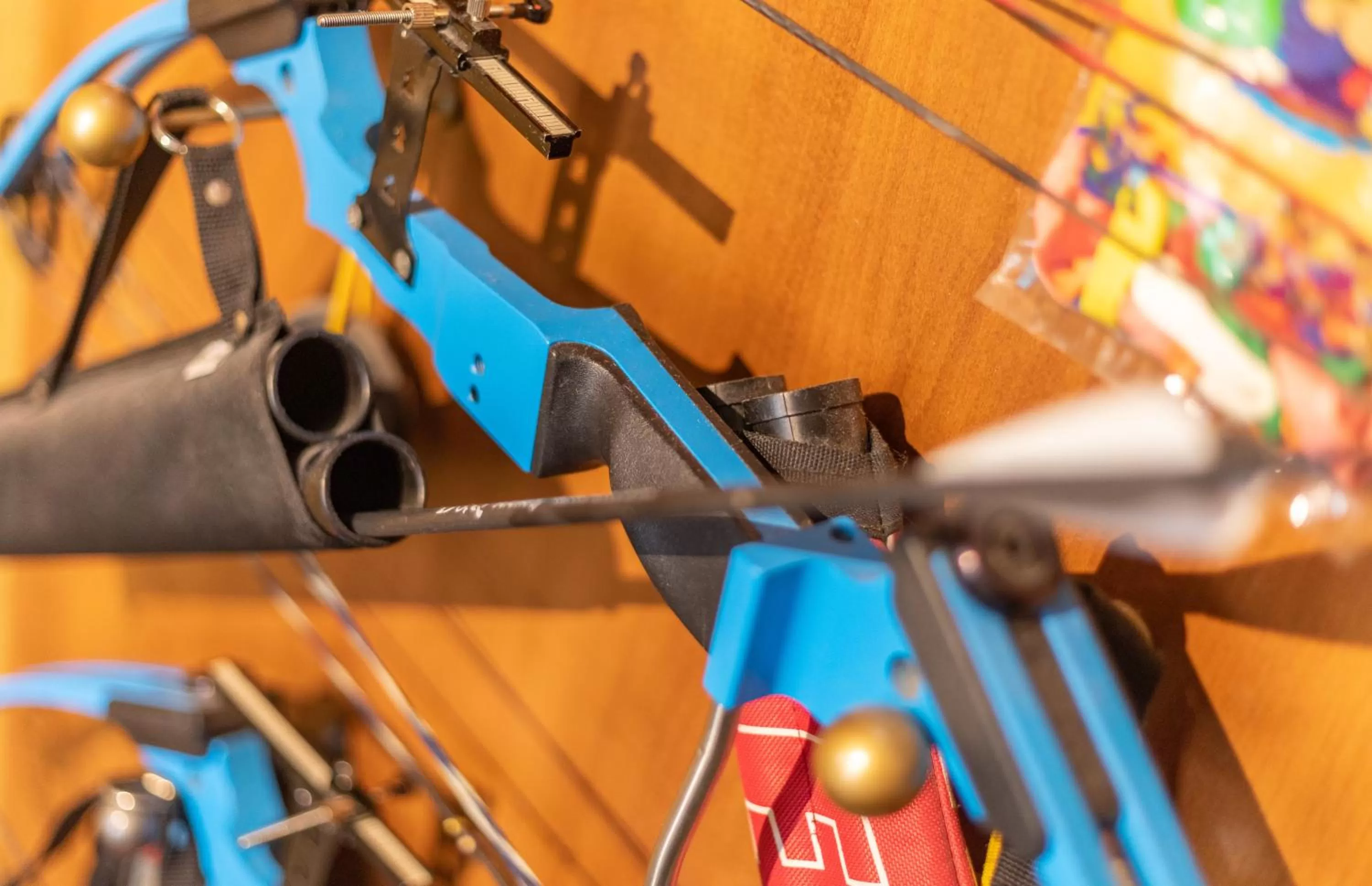 Activities in Hotel am Wariner See