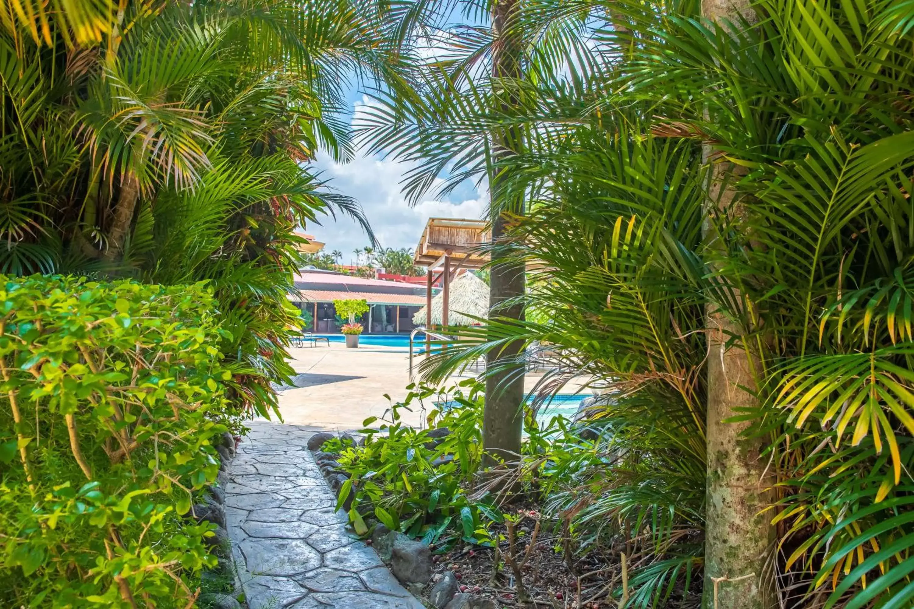 Pool view, Swimming Pool in Hilton Cariari DoubleTree San Jose - Costa Rica