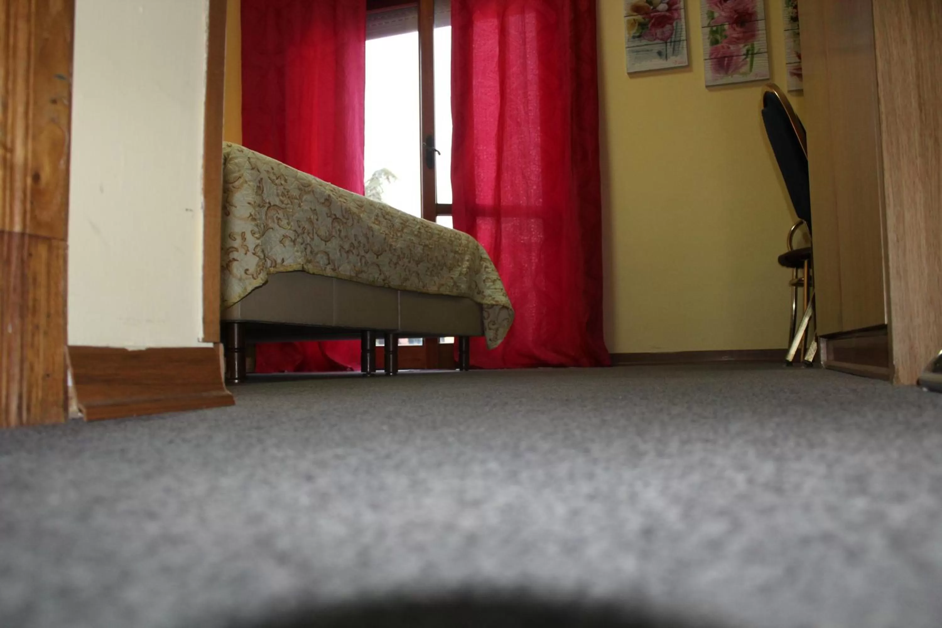 Photo of the whole room in Hotel Diana