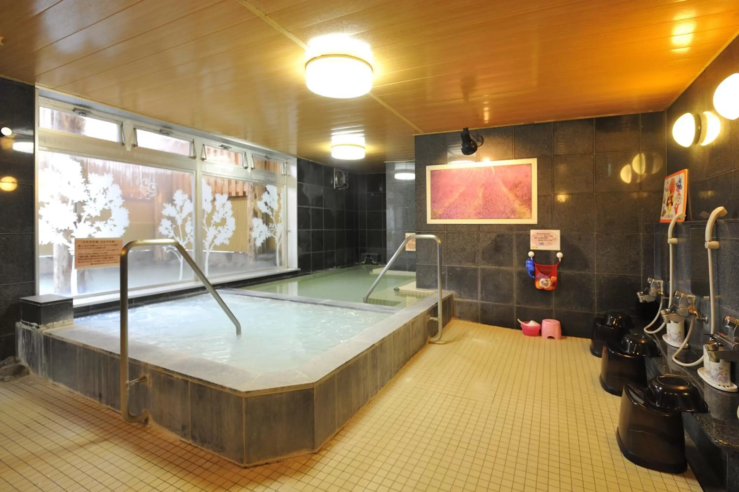 Hot Spring Bath, Swimming Pool in Hotel Naturwald Furano