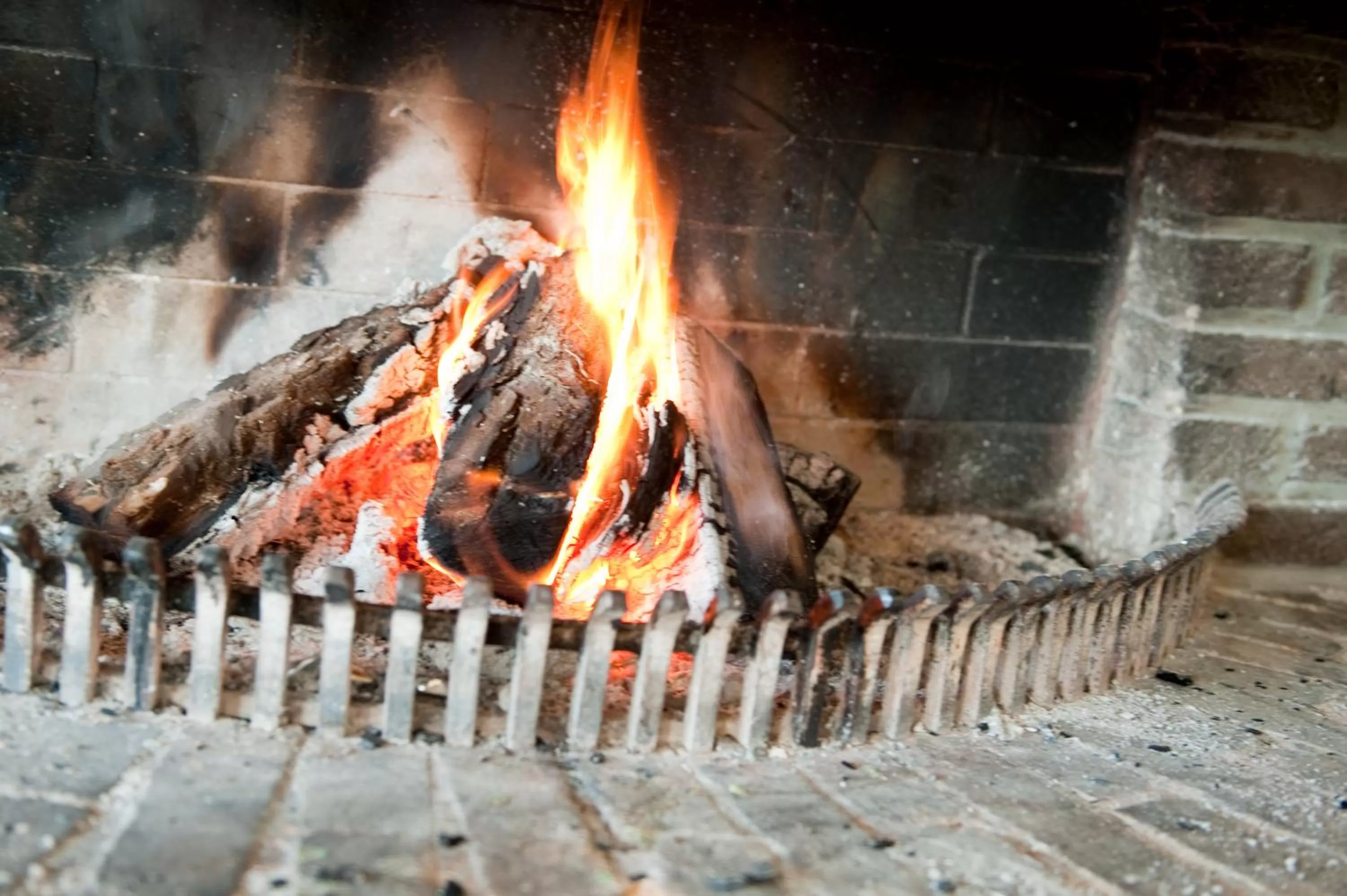 Living room, BBQ Facilities in Hotel am Waldbad