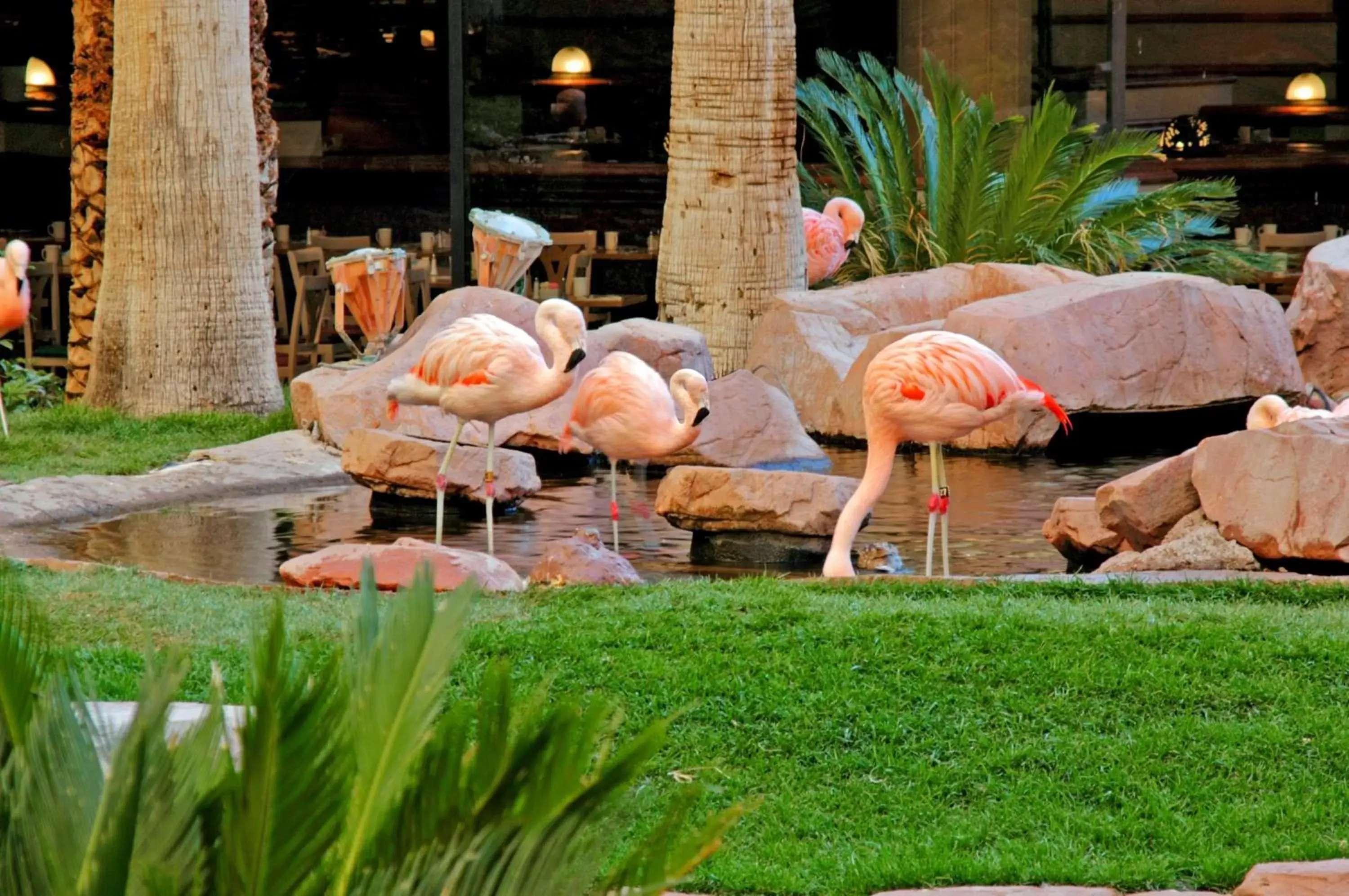 Facade/entrance in Flamingo Las Vegas Hotel & Casino