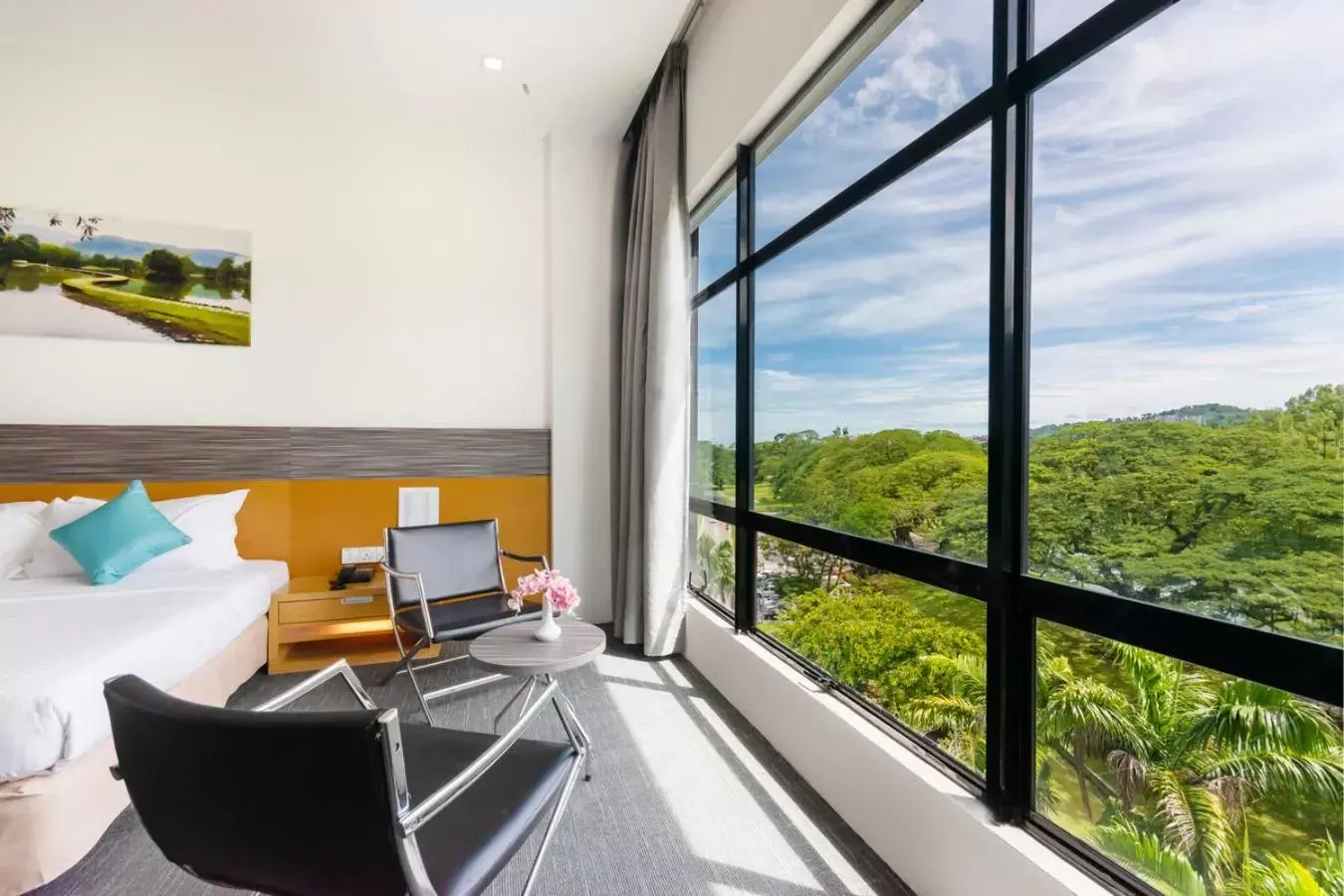 Garden view in Flemington Hotel Garden view in Flemington Hotel