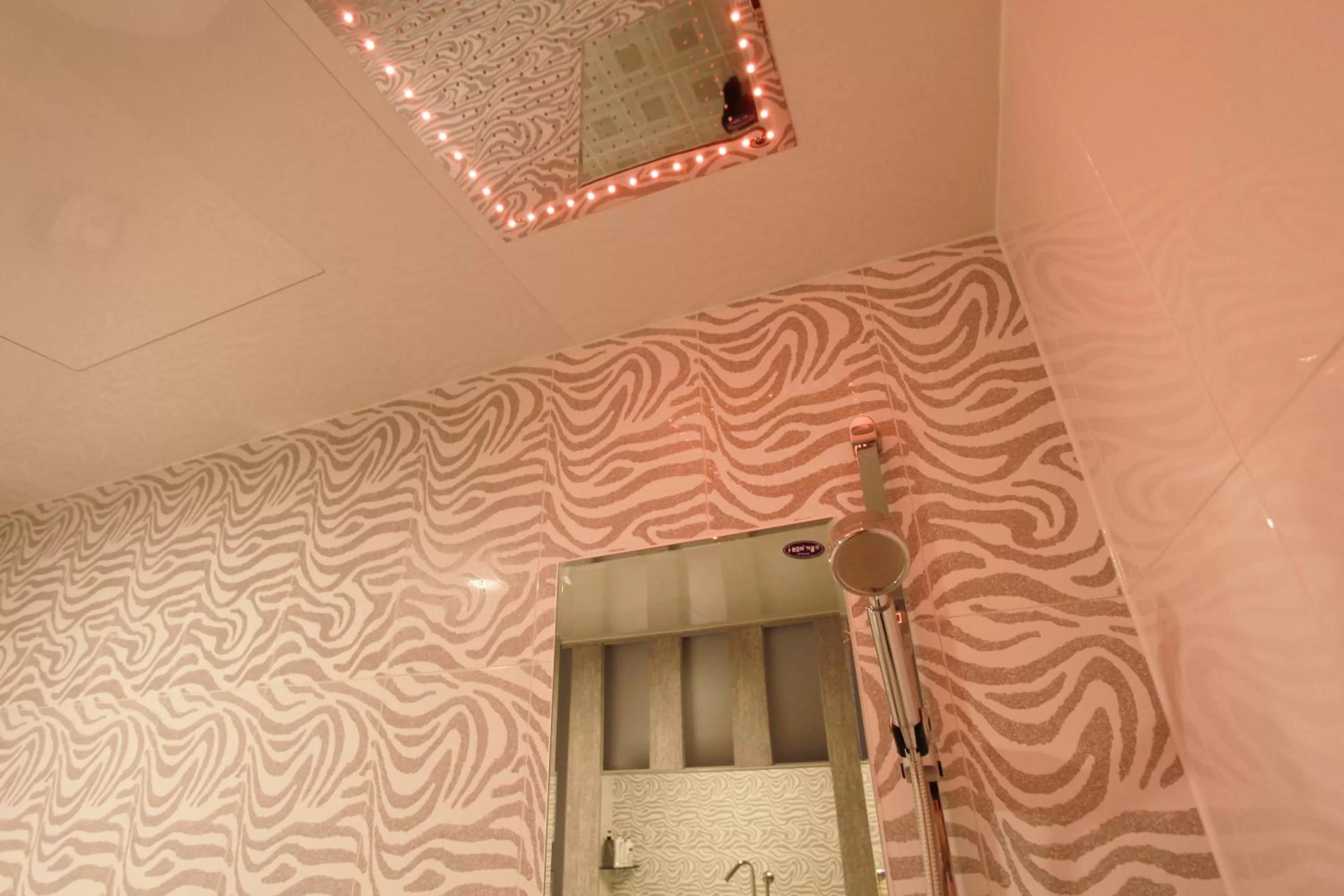 Shower in Boutique Hotel SB Yeouido