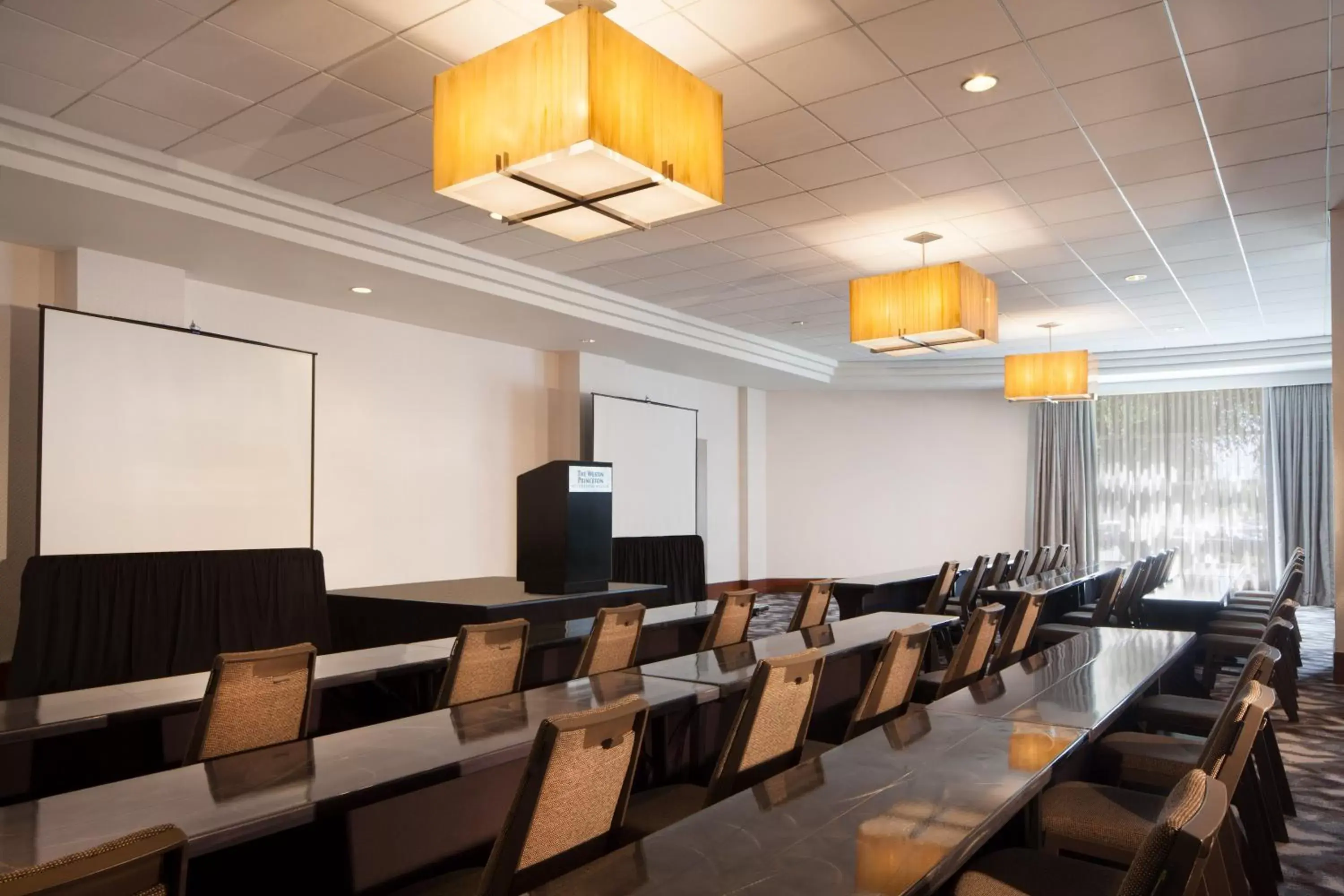 Meeting/conference room in The Westin Princeton at Forrestal Village