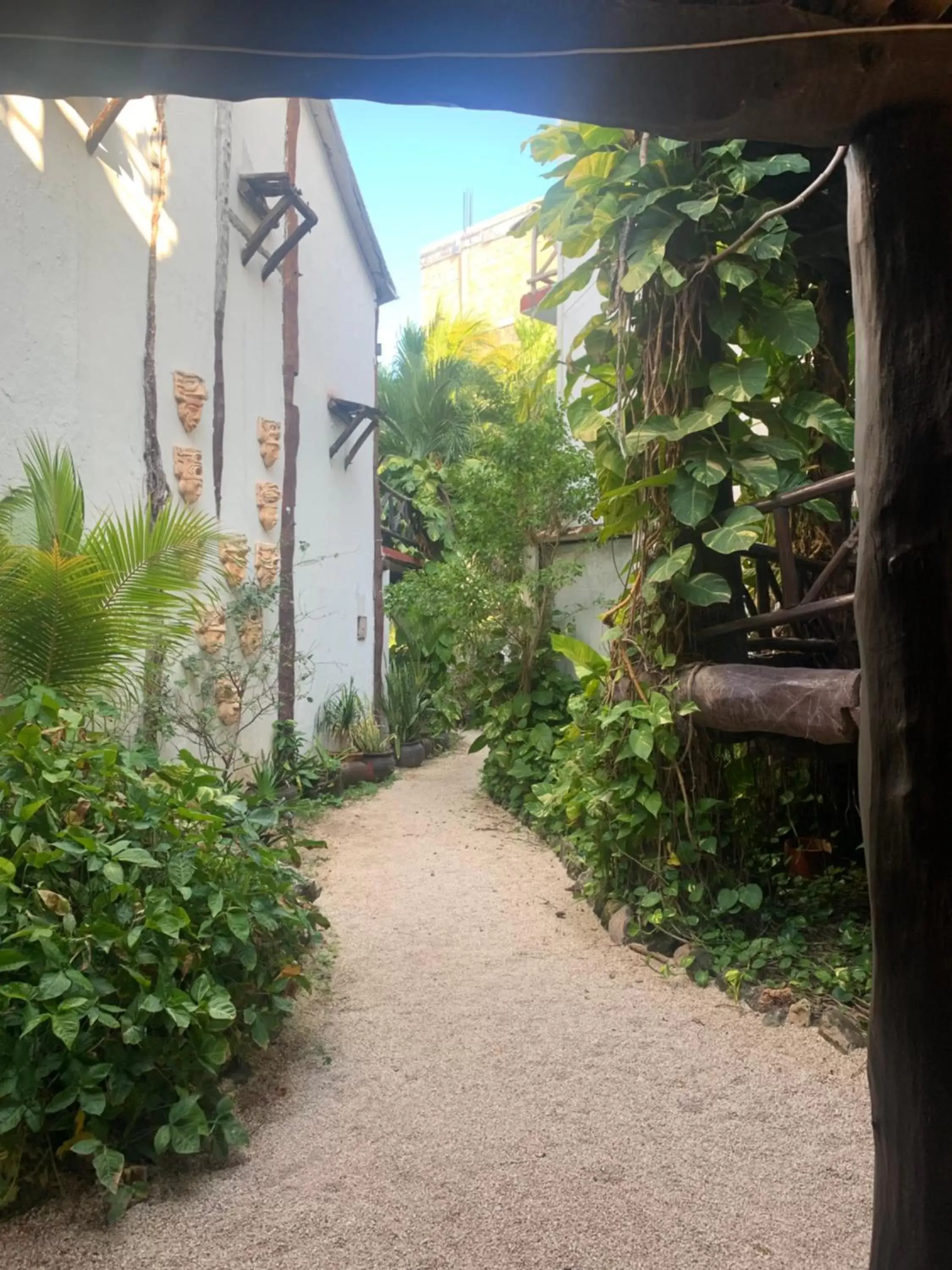 Garden, Property Building in Casa Caribe Cancun