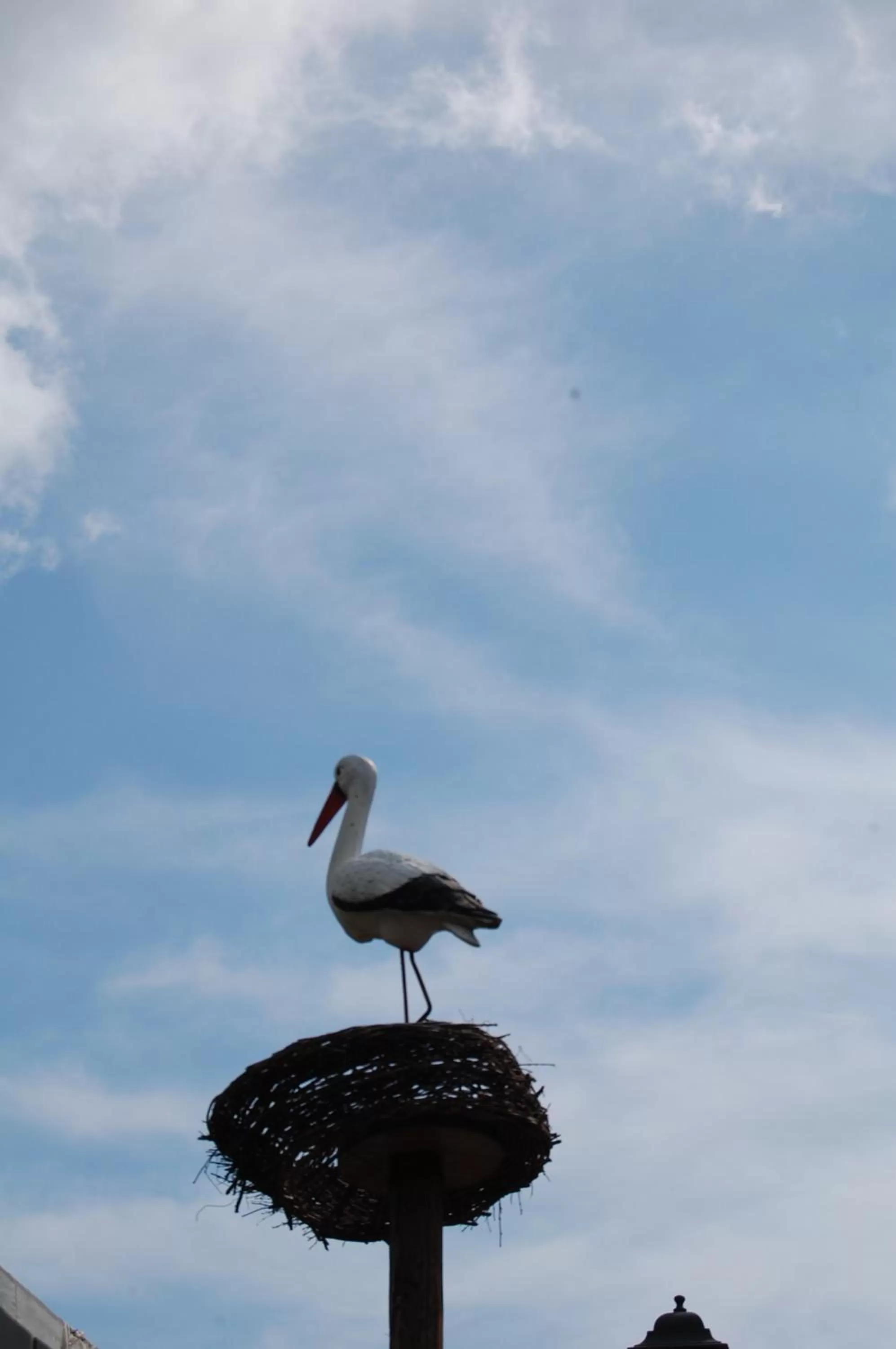 Logo/Certificate/Sign in La Cicogna