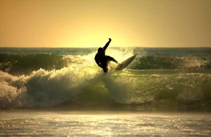 Sports, Other Animals in Hotel Surfances