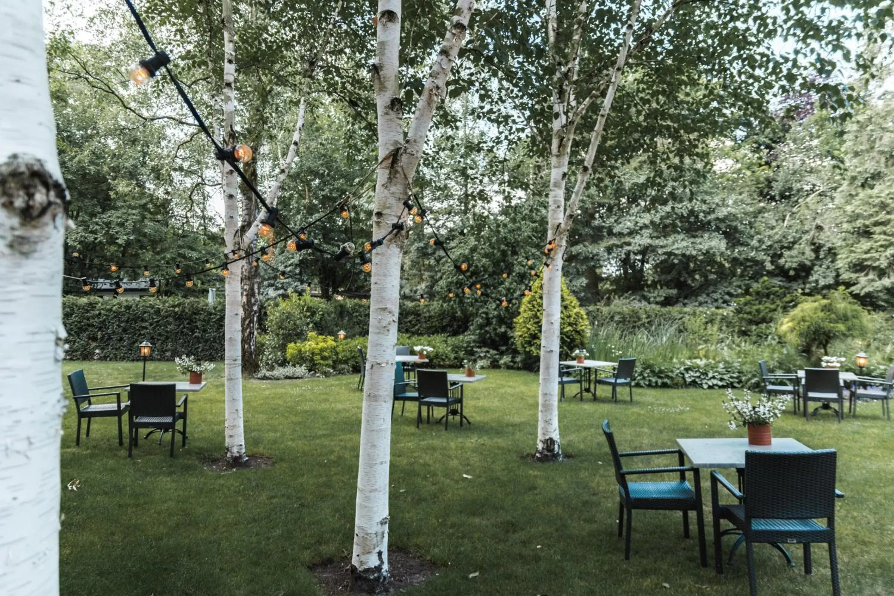 Garden in Witte Berken Natuurhotel