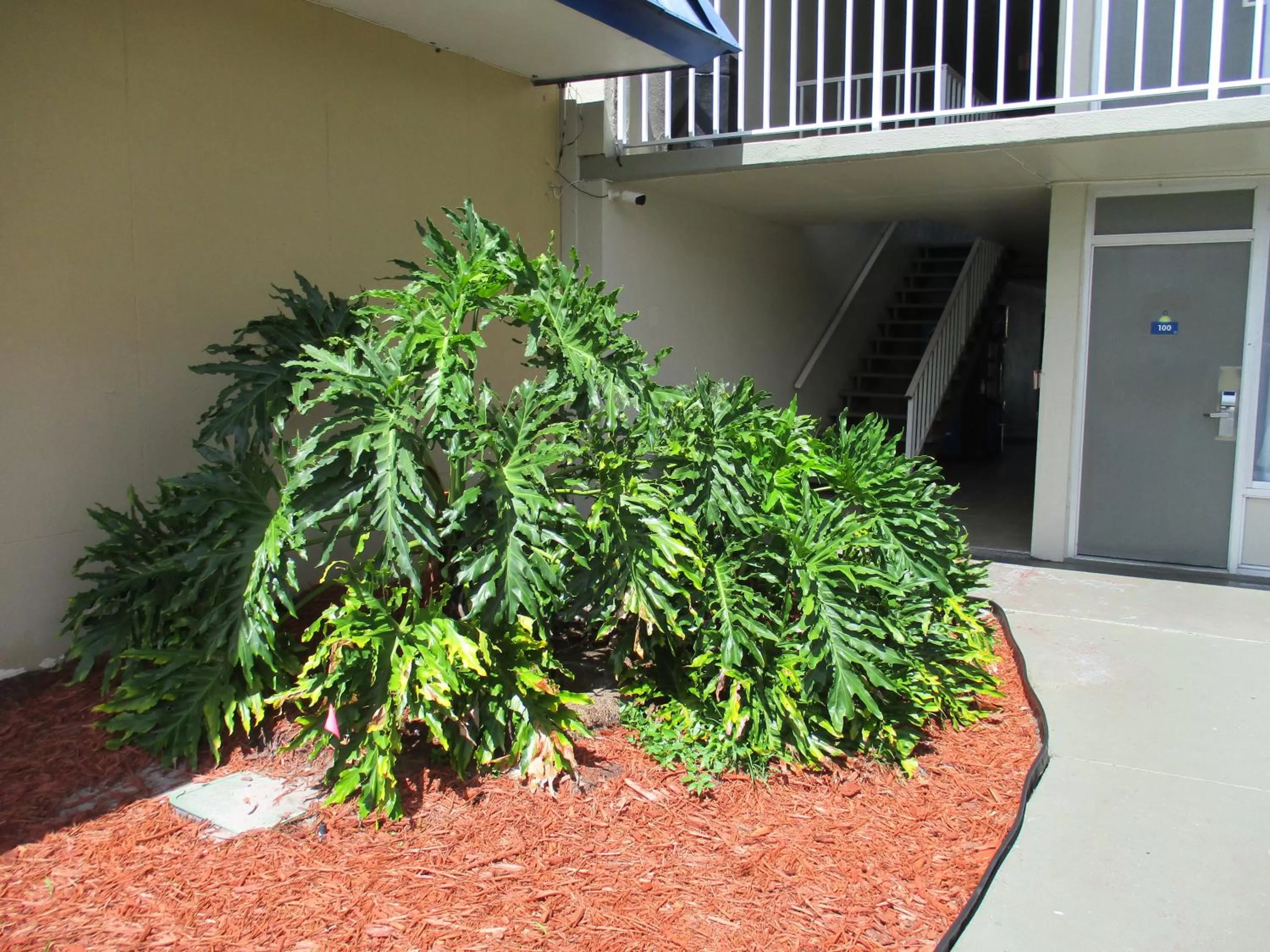 Area and facilities in Days Inn by Wyndham Titusville Kennedy Space Center