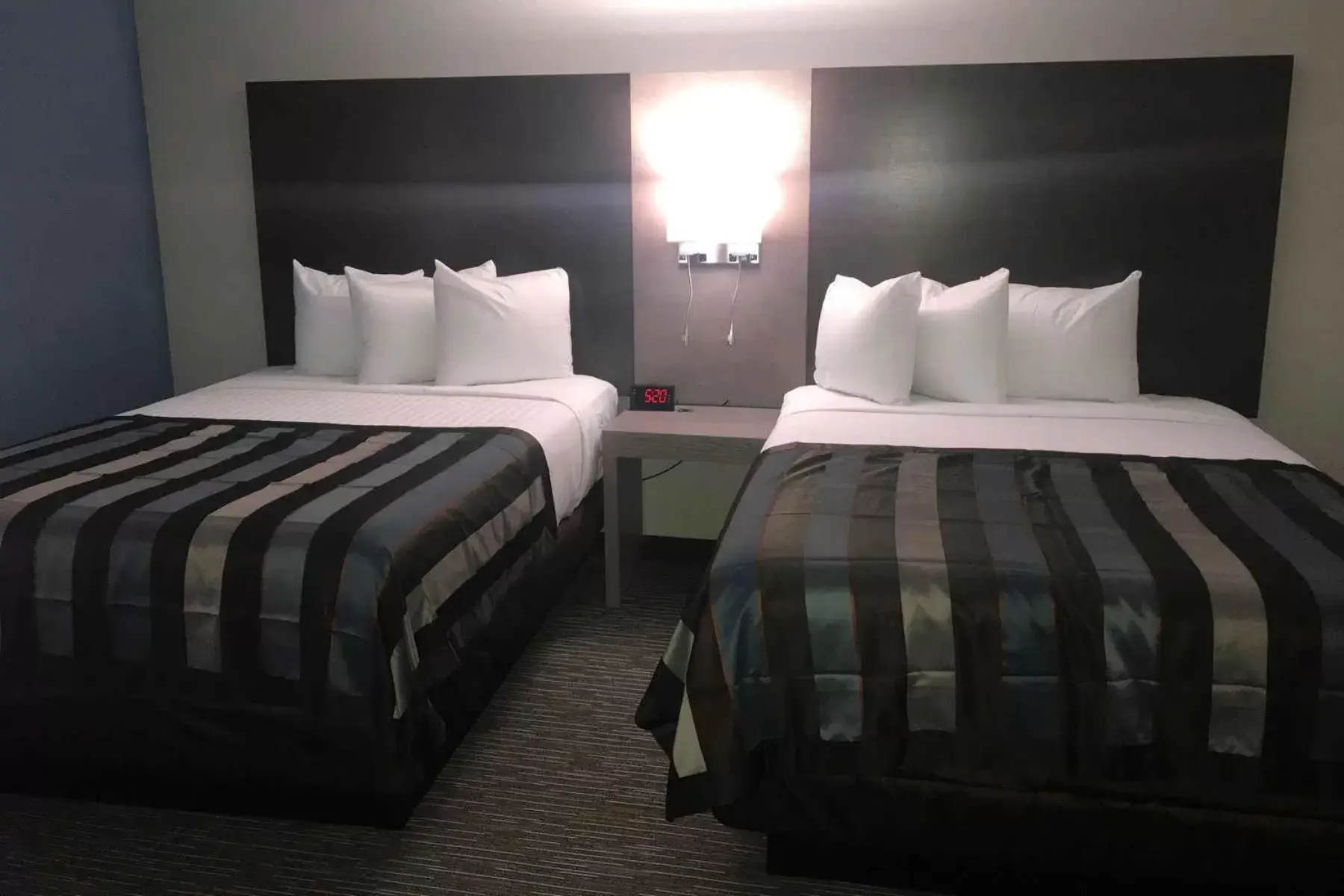 Bedroom, Bed in Wingate by Wyndham Louisville Airport Expo Center