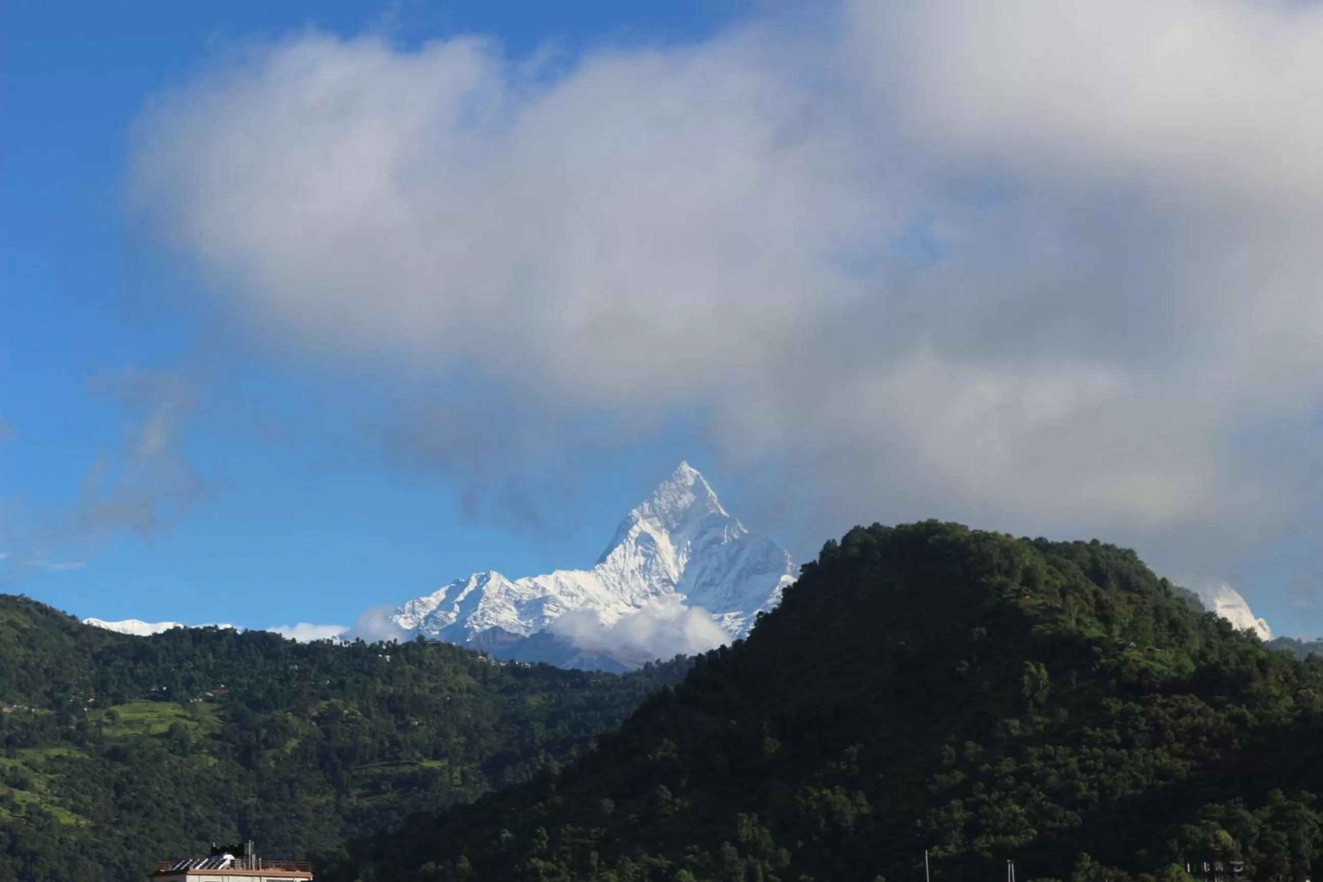 Mountain view in Hotel Buttercup