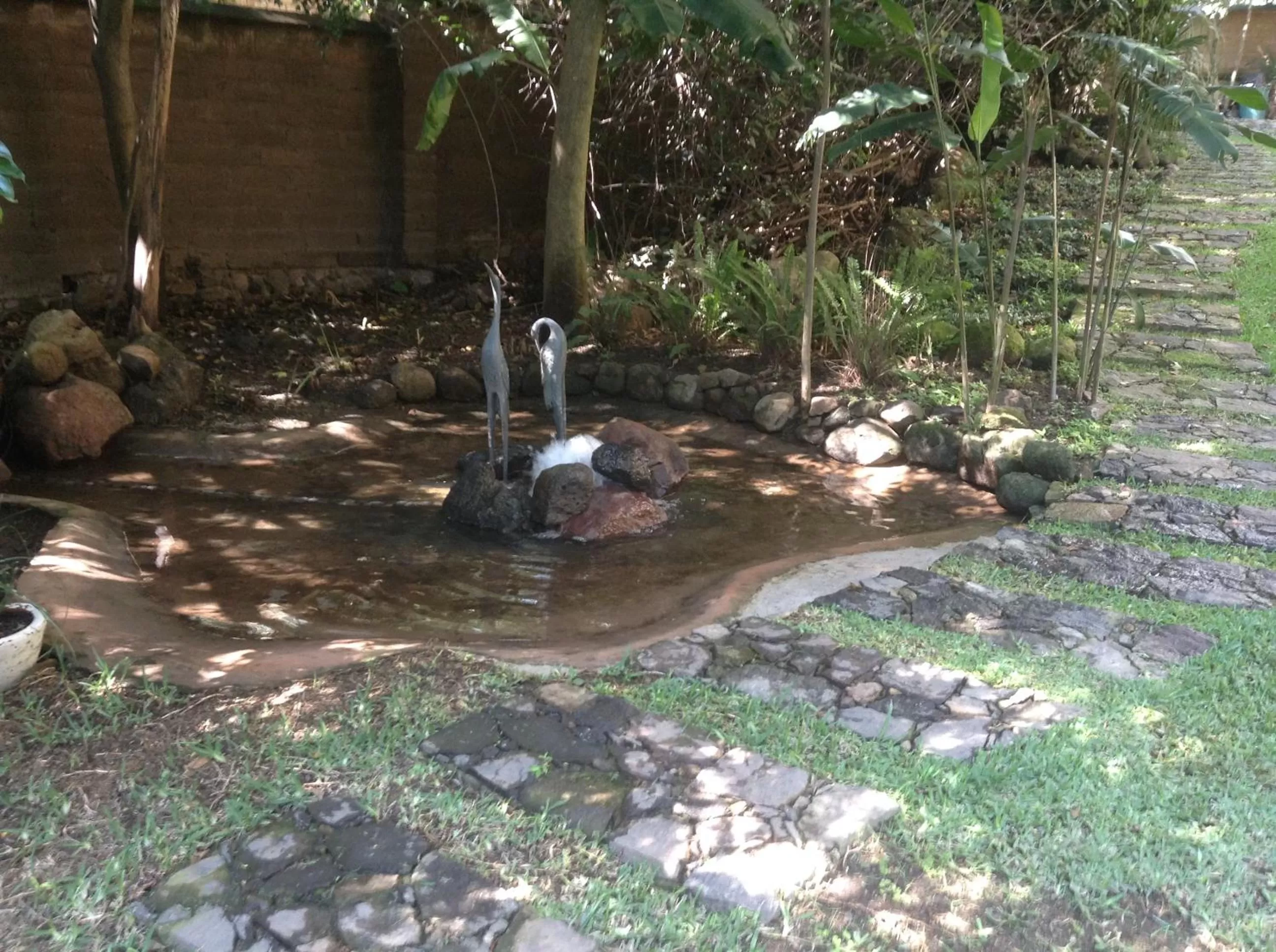 Garden in Casa Alamillo Hotel Boutique