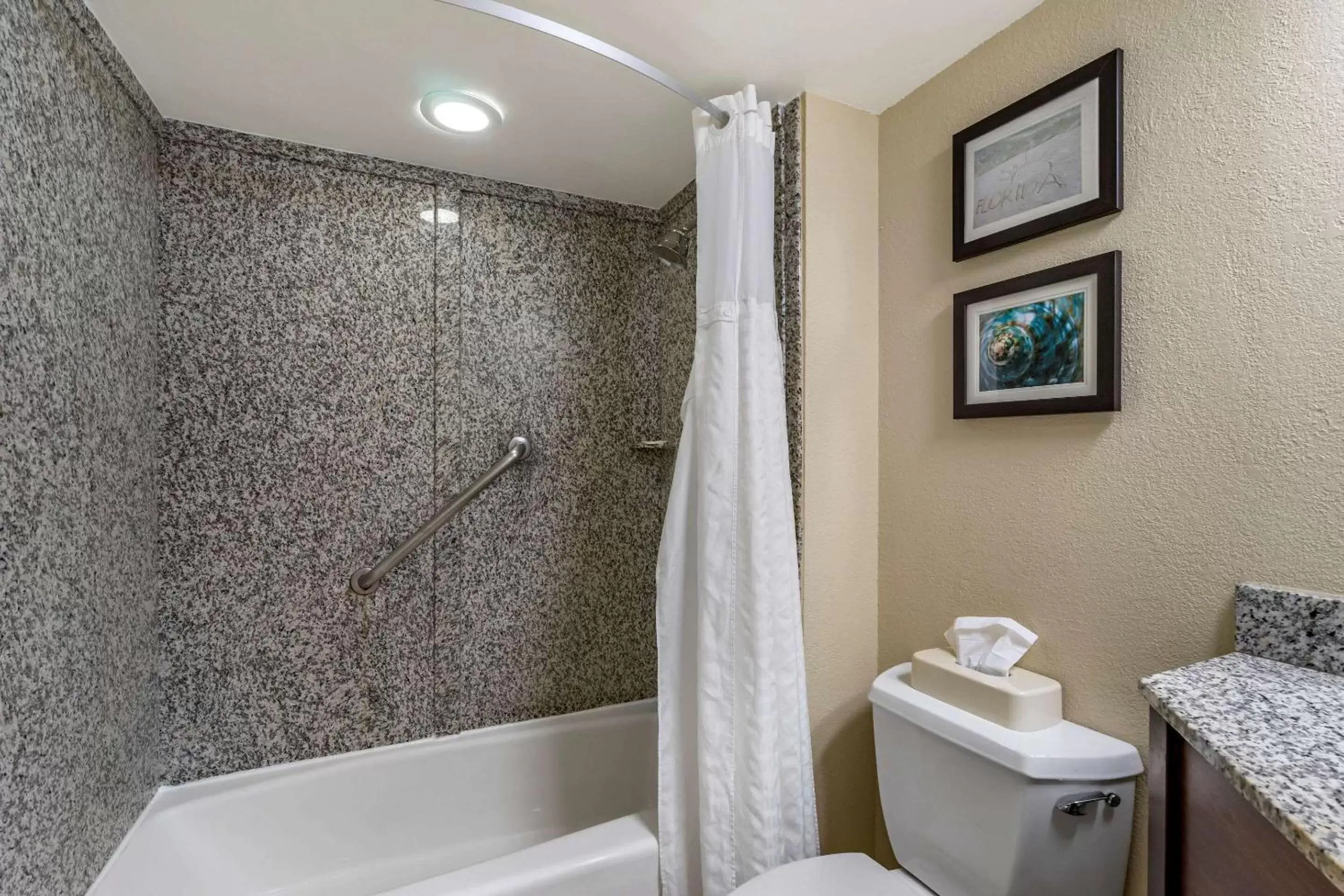 Bedroom, Bathroom in Comfort Inn & Suites St Pete - Clearwater International Airport