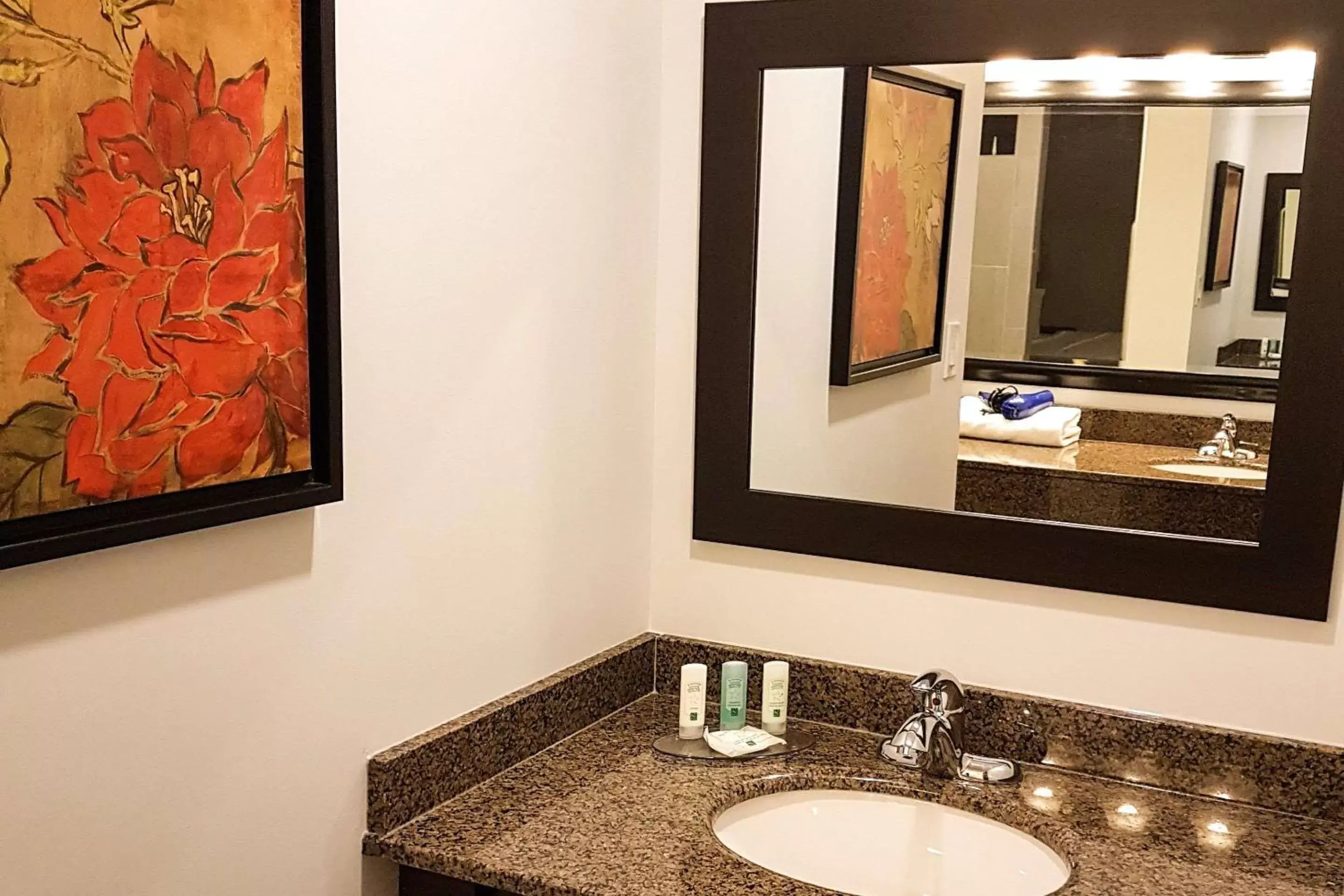 Bathroom in Quality Inn West Edmonton