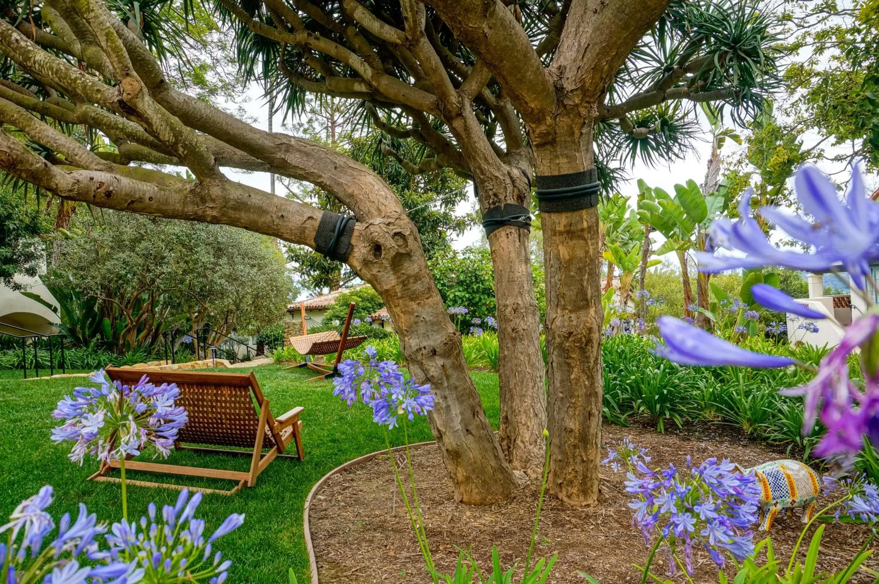 Facade/entrance, Garden in El Encanto, A Belmond Hotel, Santa Barbara