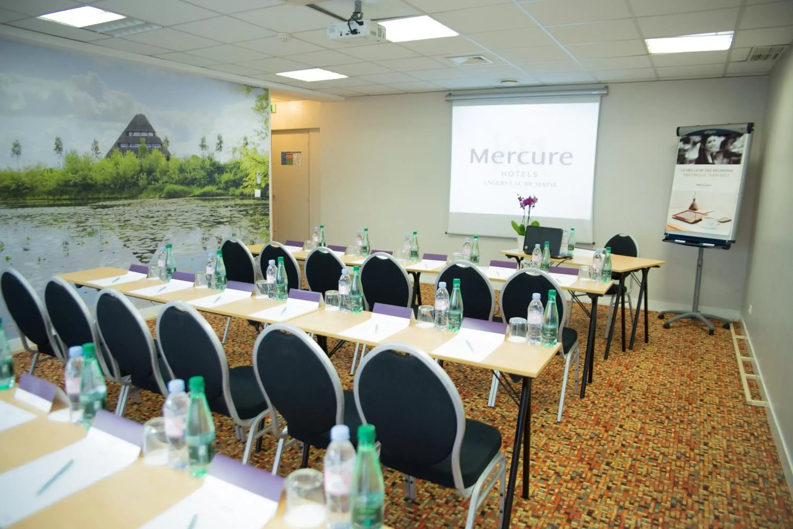 Meeting/conference room in Hotel Mercure Angers Lac De Maine