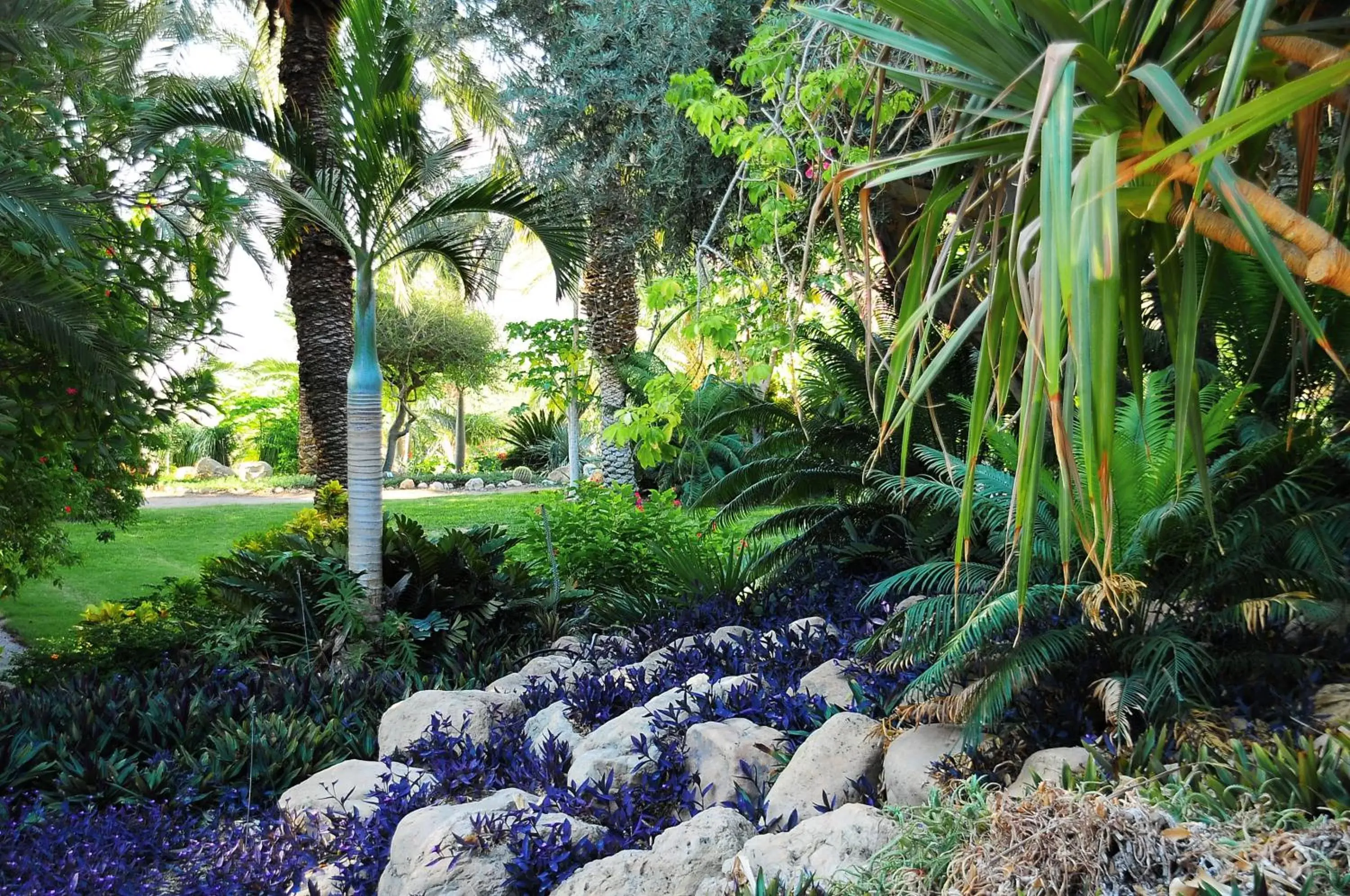 Garden view, Garden in Ein Gedi Kibbutz Hotel
