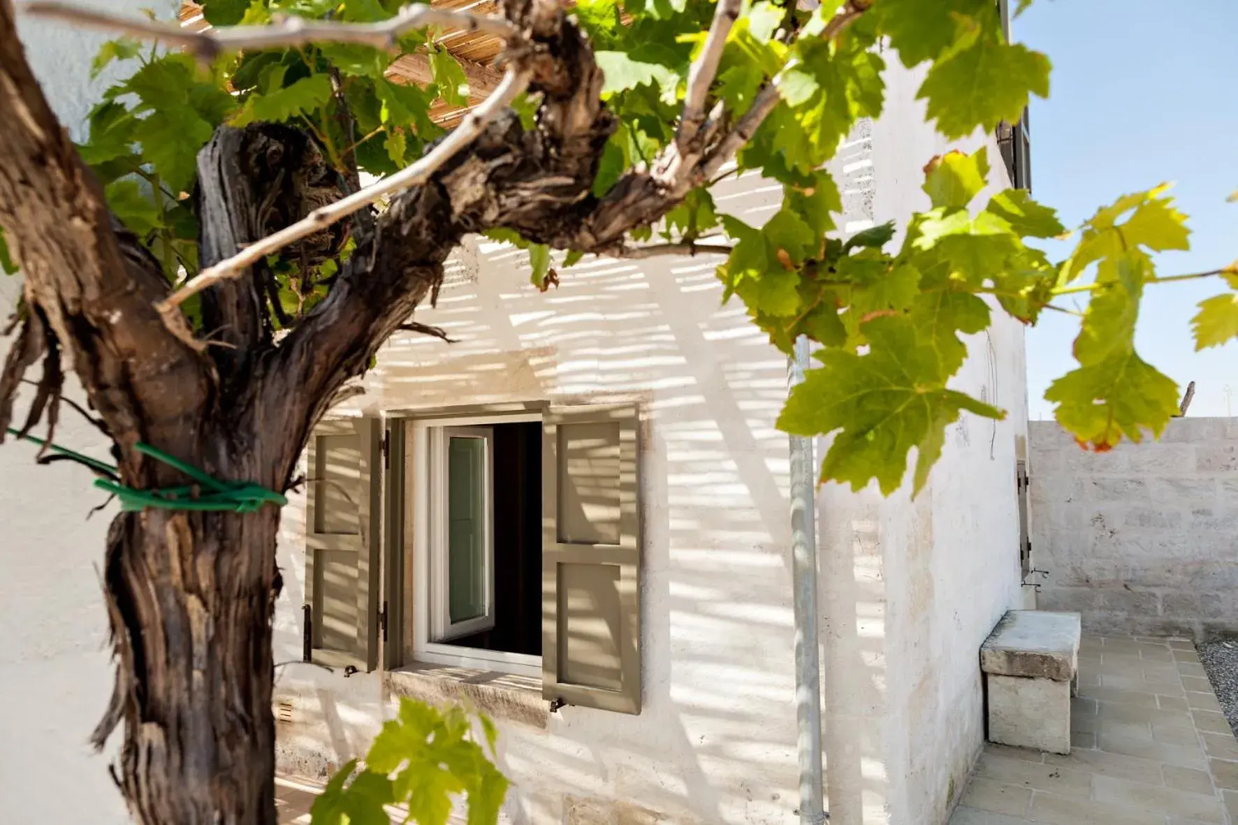 Decorative detail, Property Building in Borgo Sentinella