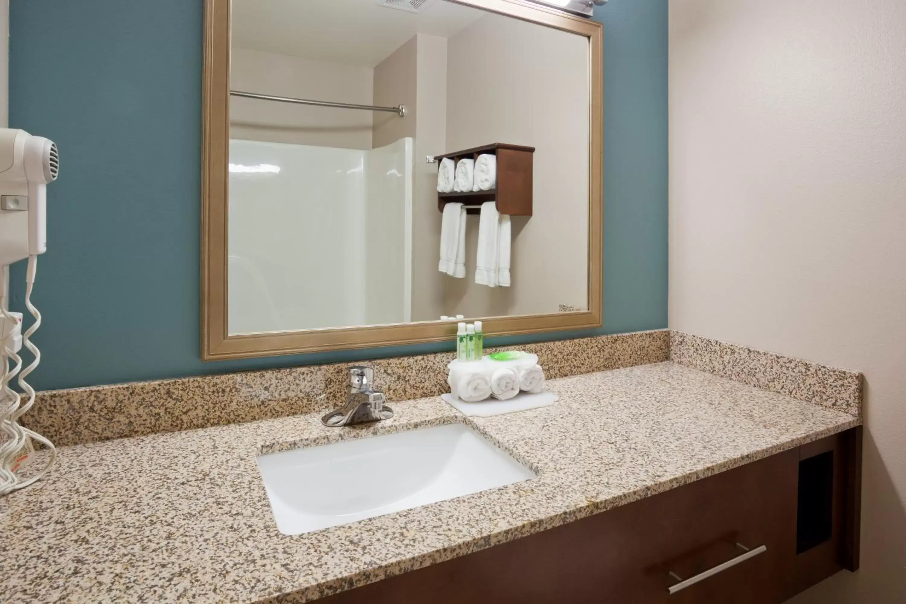 Bathroom in Holiday Inn Express and Suites St. Cloud, an IHG Hotel