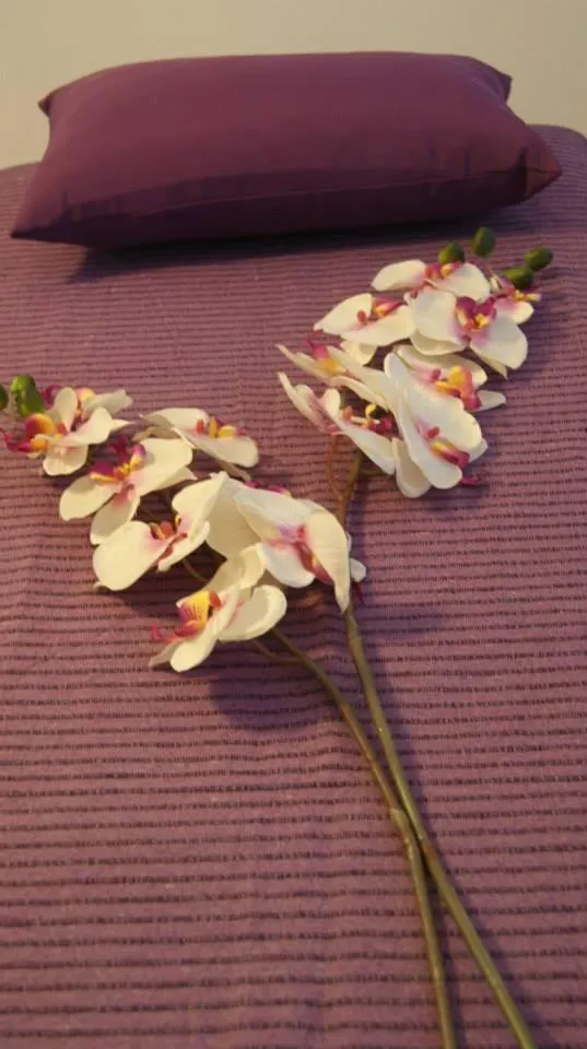 Massage in Hotel Rural Quinta de Santo Antonio