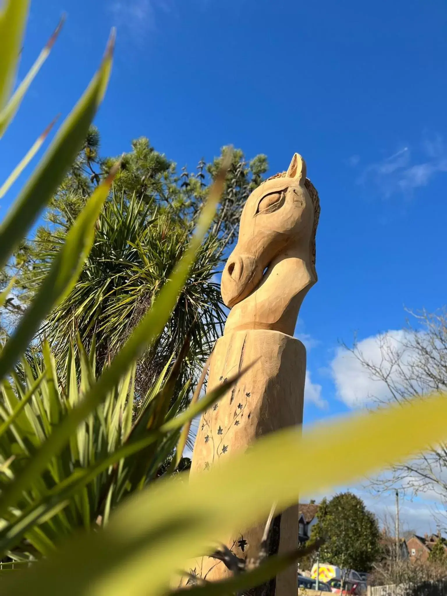 Garden, Other Animals in Findon Manor Hotel