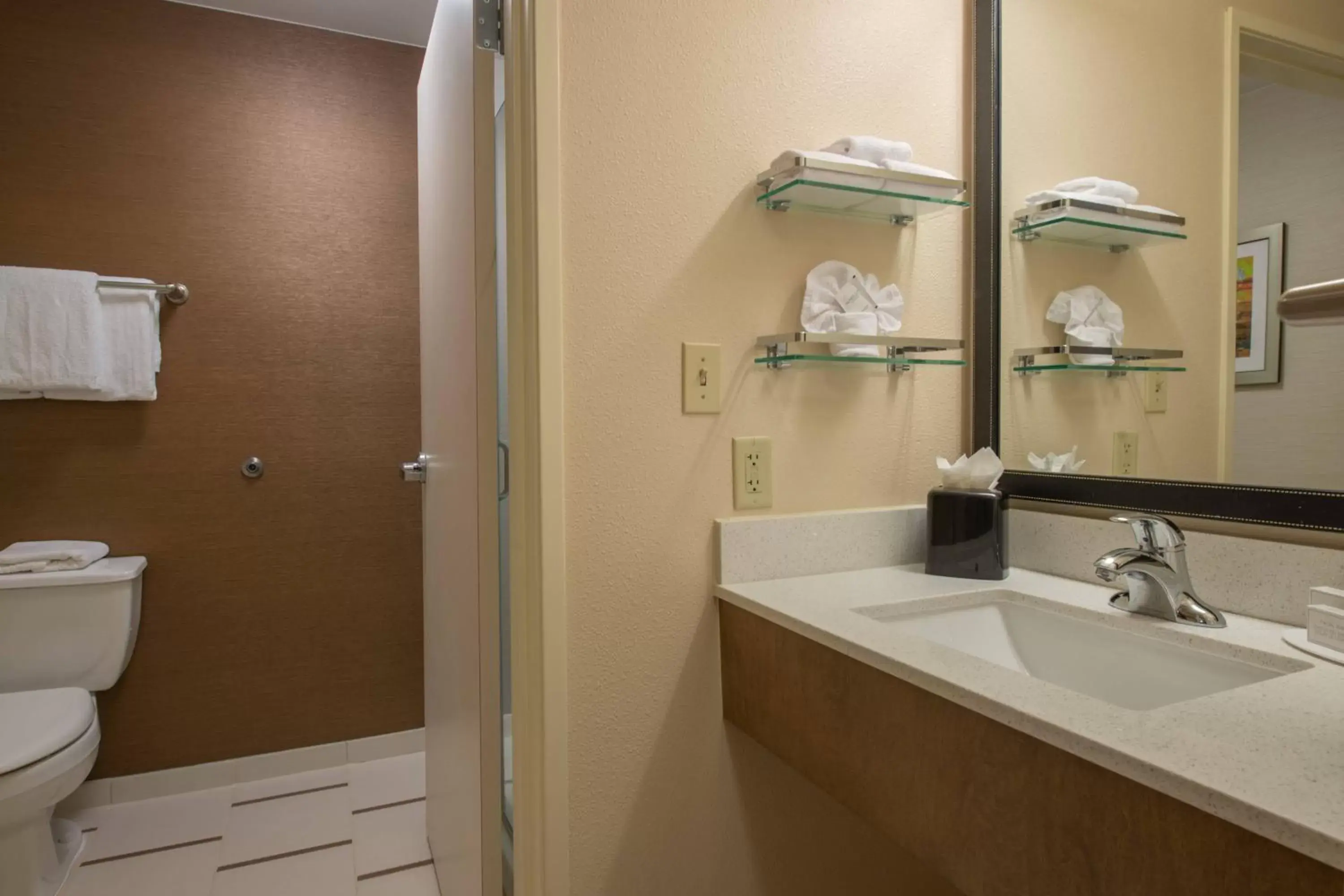 Bathroom in Fairfield Inn & Suites Dallas Lewisville