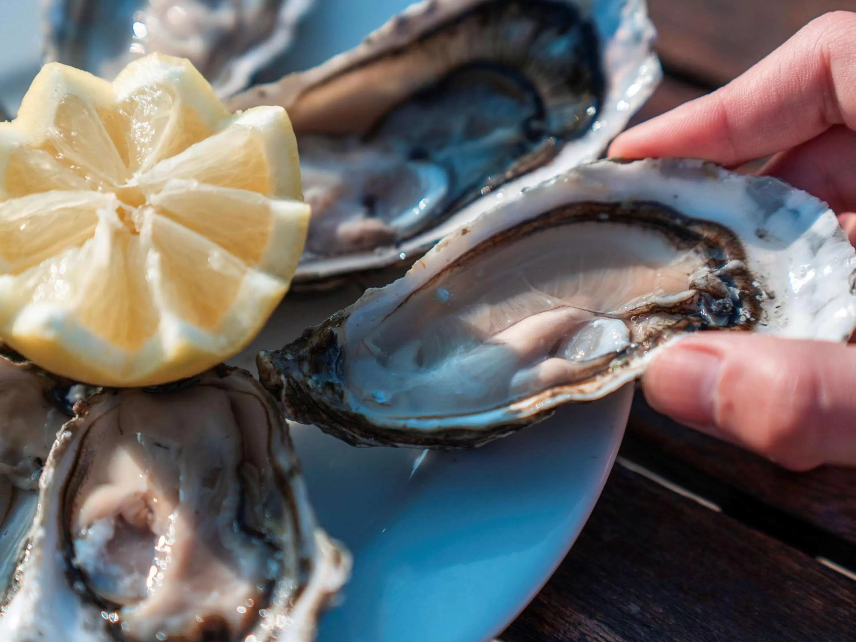 Lounge or bar in Novotel Thalassa Ile d'Oléron